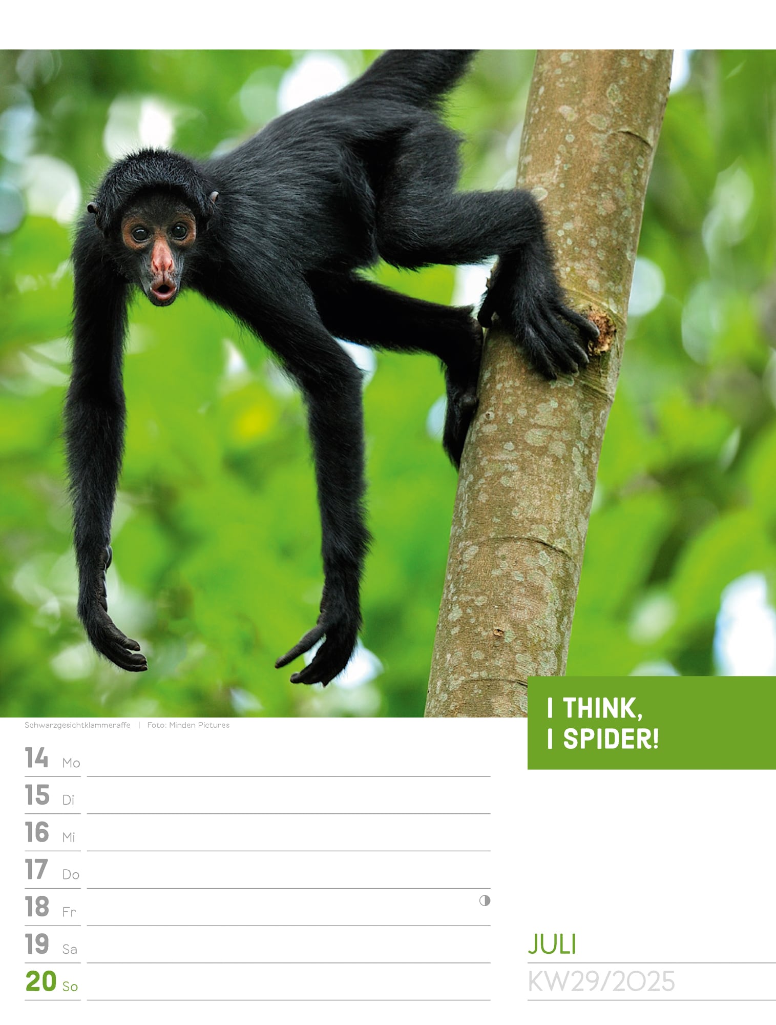 Ackermann Calendar Animals 2025 - Weekly Planner - Inside View 32