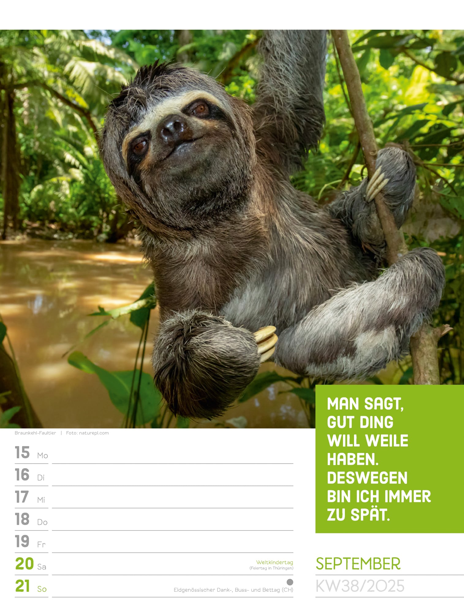 Ackermann Calendar Animals 2025 - Weekly Planner - Inside View 41