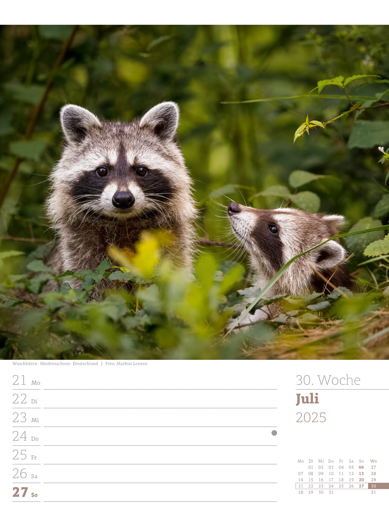 Ackermann Calendar Our Forest 2025 - Weekly Planner - Inside View 33