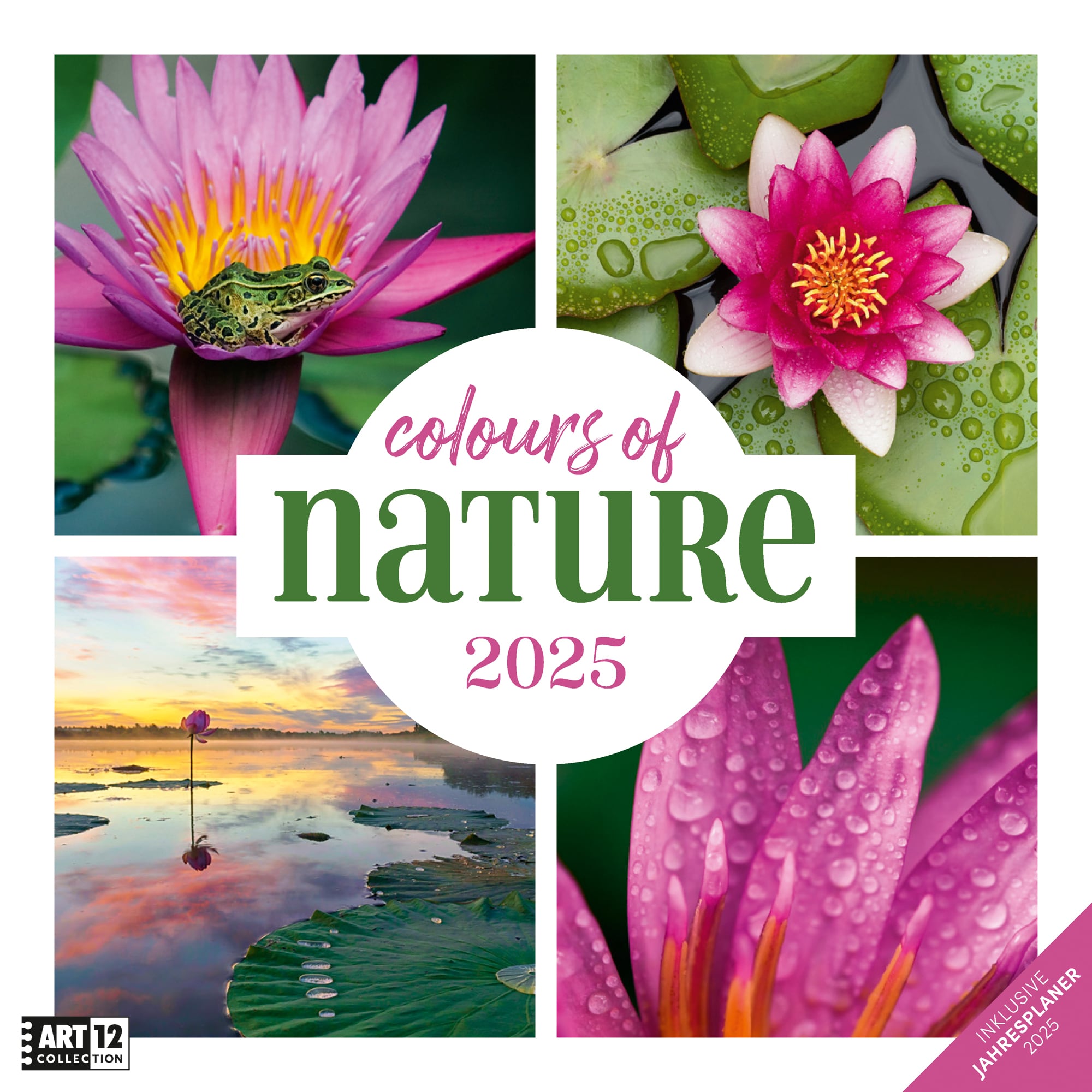 Art12 Collection Kalender Colours of Nature 2025 - 30x30 - Titelblatt