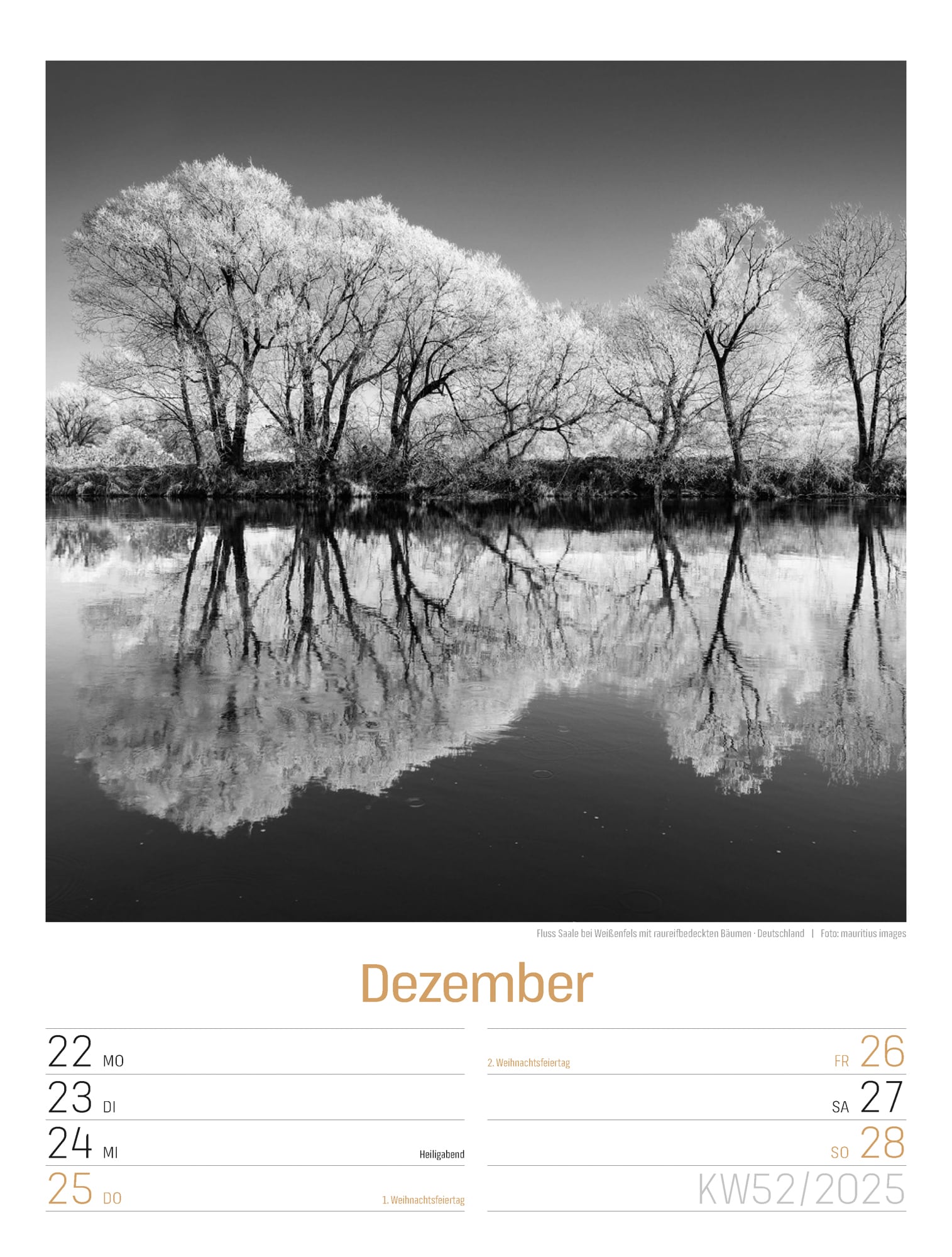Ackermann Calendar Silent Nature 2025 - Weekly Planner - Inside View 55