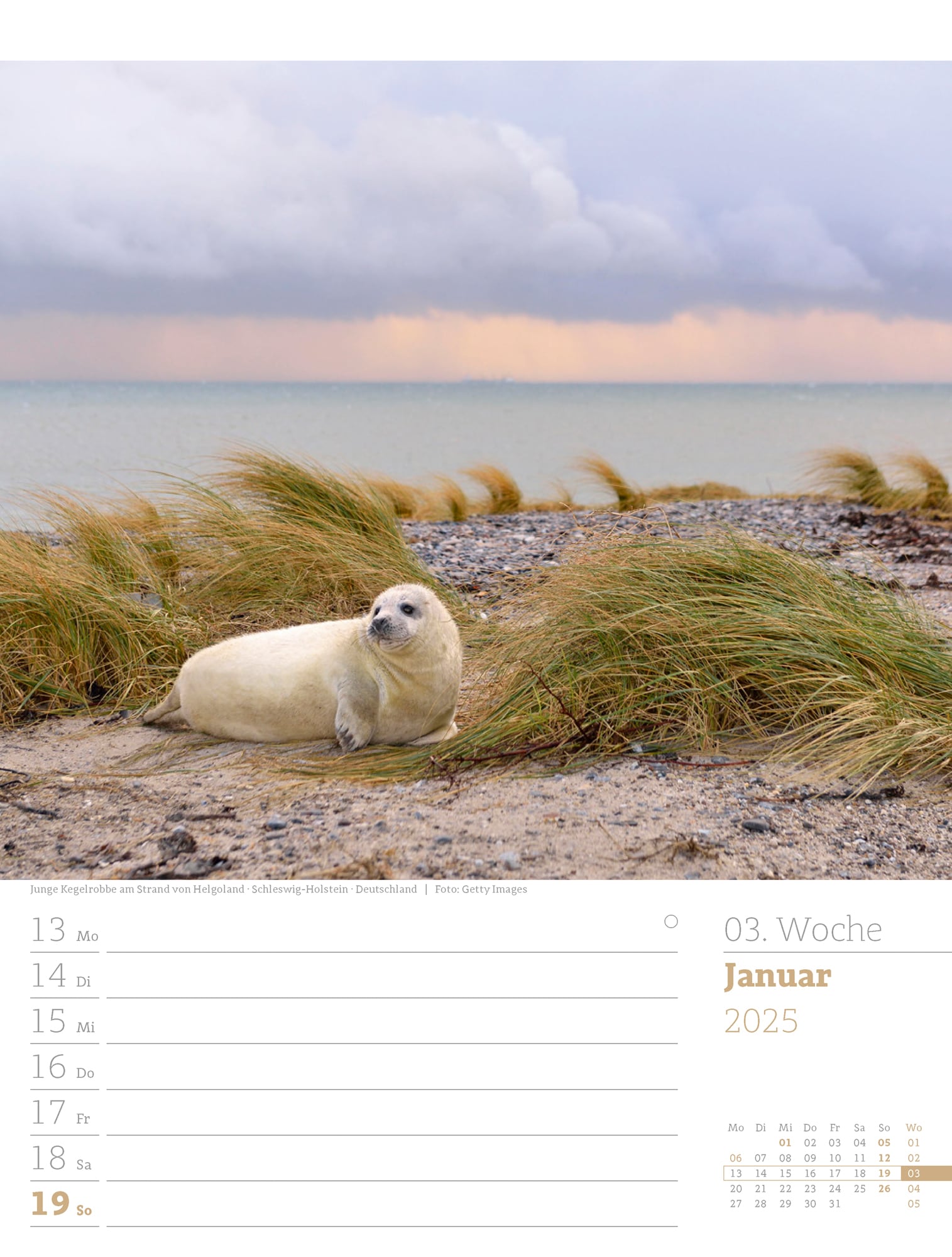 Ackermann Calendar At the Seaside 2025 - Weekly Planner - Inside View 05