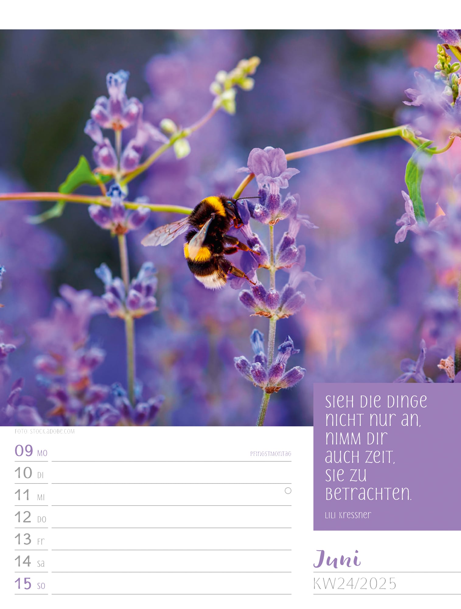 Ackermann Calendar Moments 2025 - Weekly Planner - Inside View 27