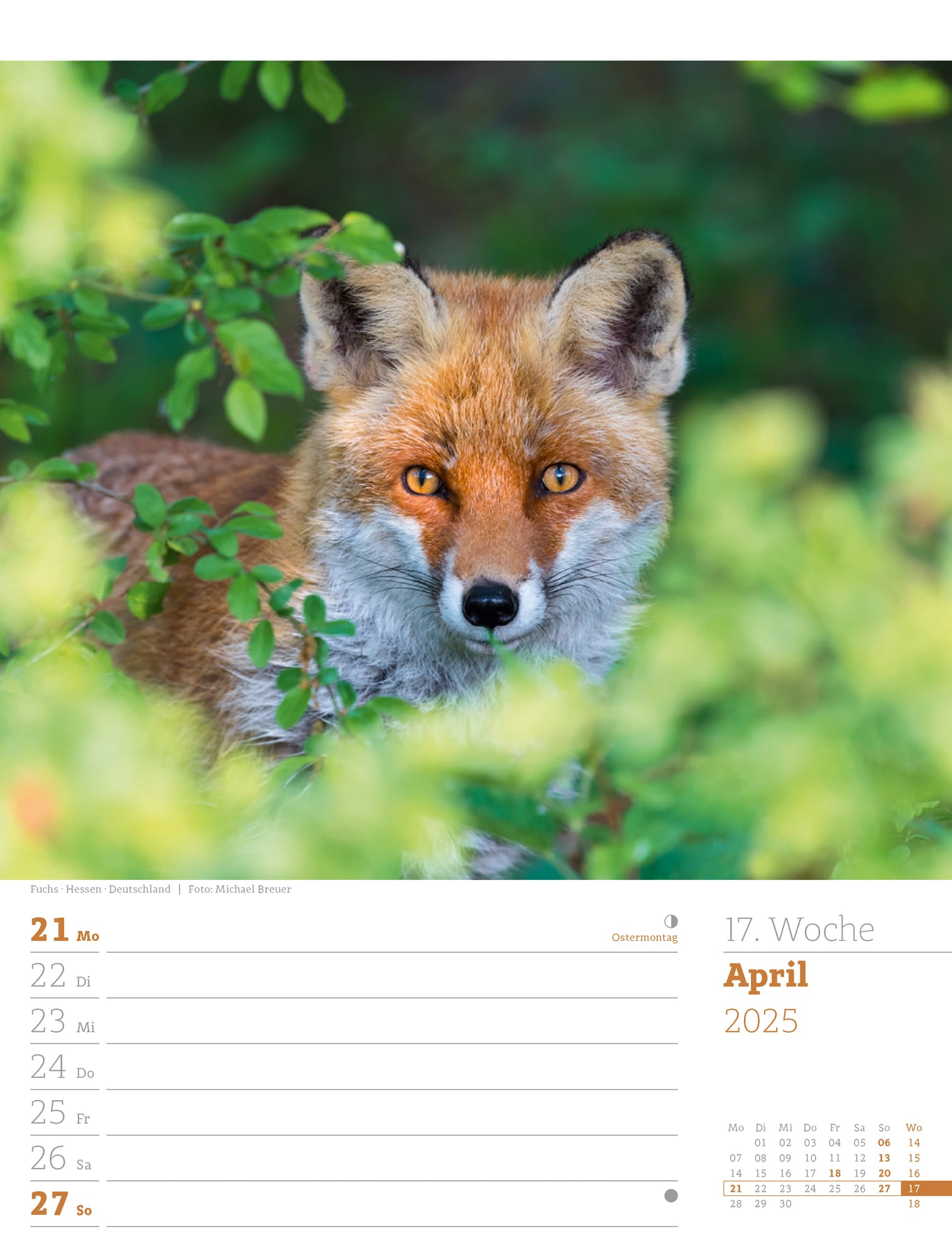 Ackermann Calendar Our Forest 2025 - Weekly Planner - Inside View 20