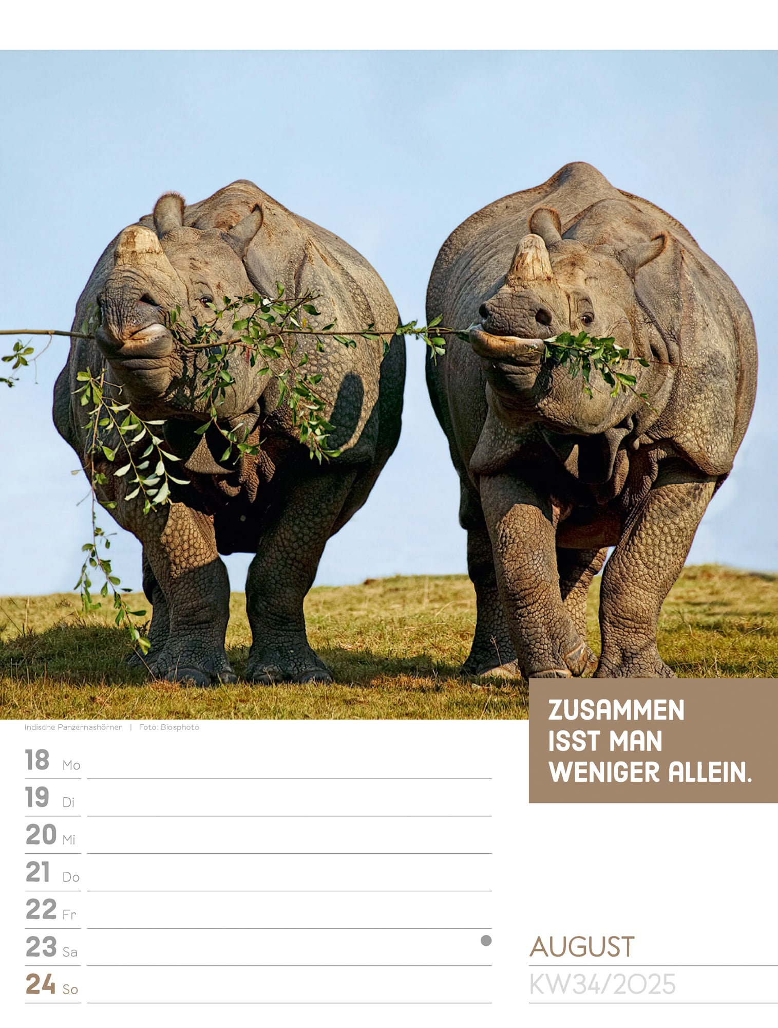 Ackermann Calendar Animals 2025 - Weekly Planner - Inside View 37