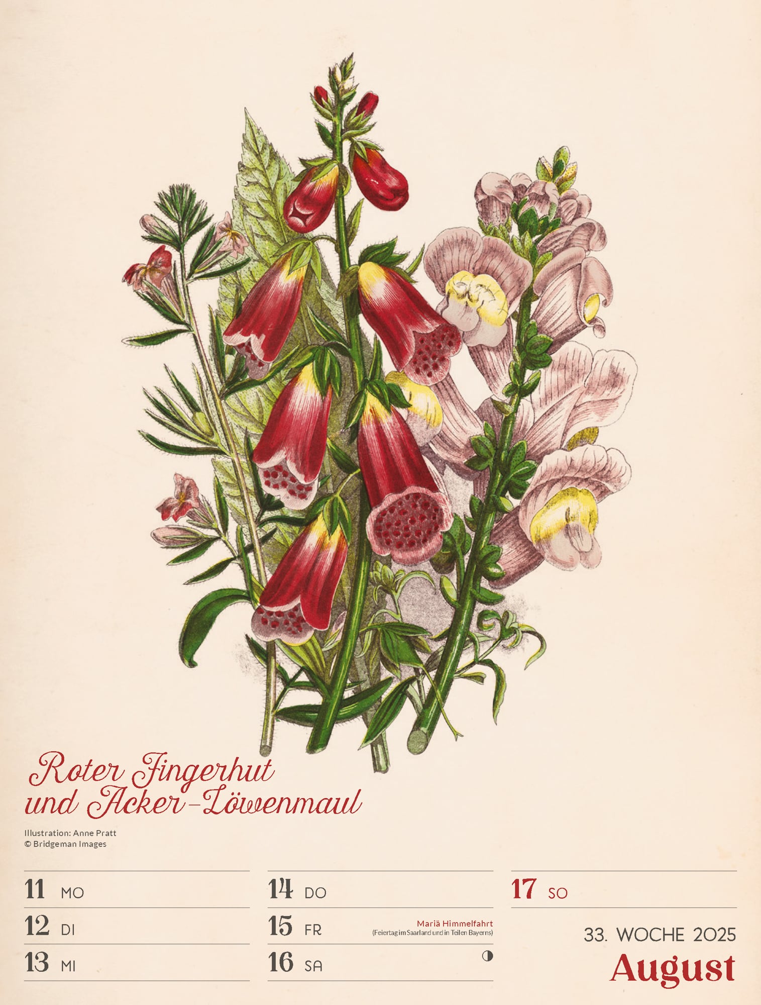 Ackermann Calendar Ars Floralis 2025 - Weekly Planner - Inside View 36