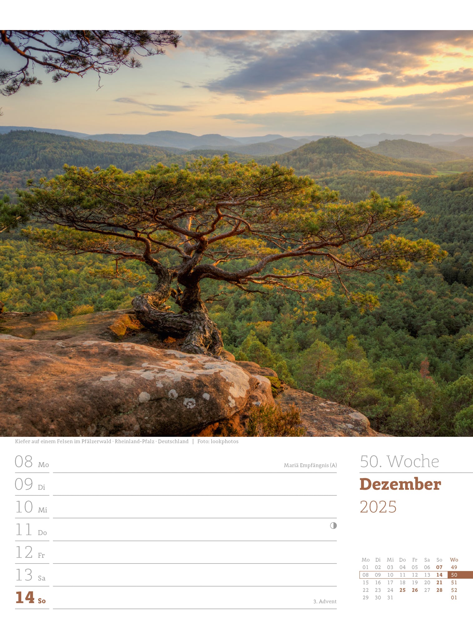 Ackermann Calendar Our Forest 2025 - Weekly Planner - Inside View 53