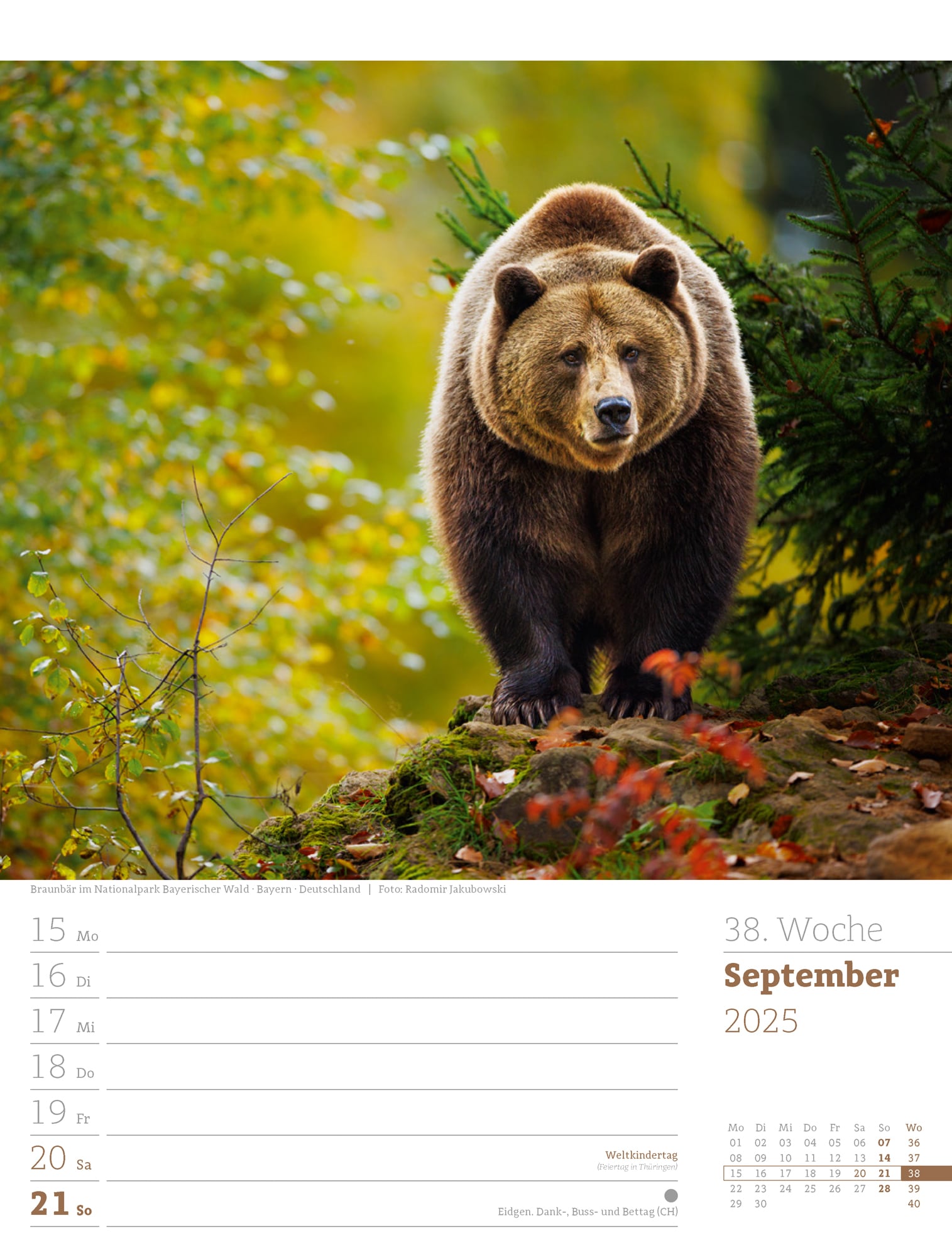 Ackermann Calendar Our Forest 2025 - Weekly Planner - Inside View 41