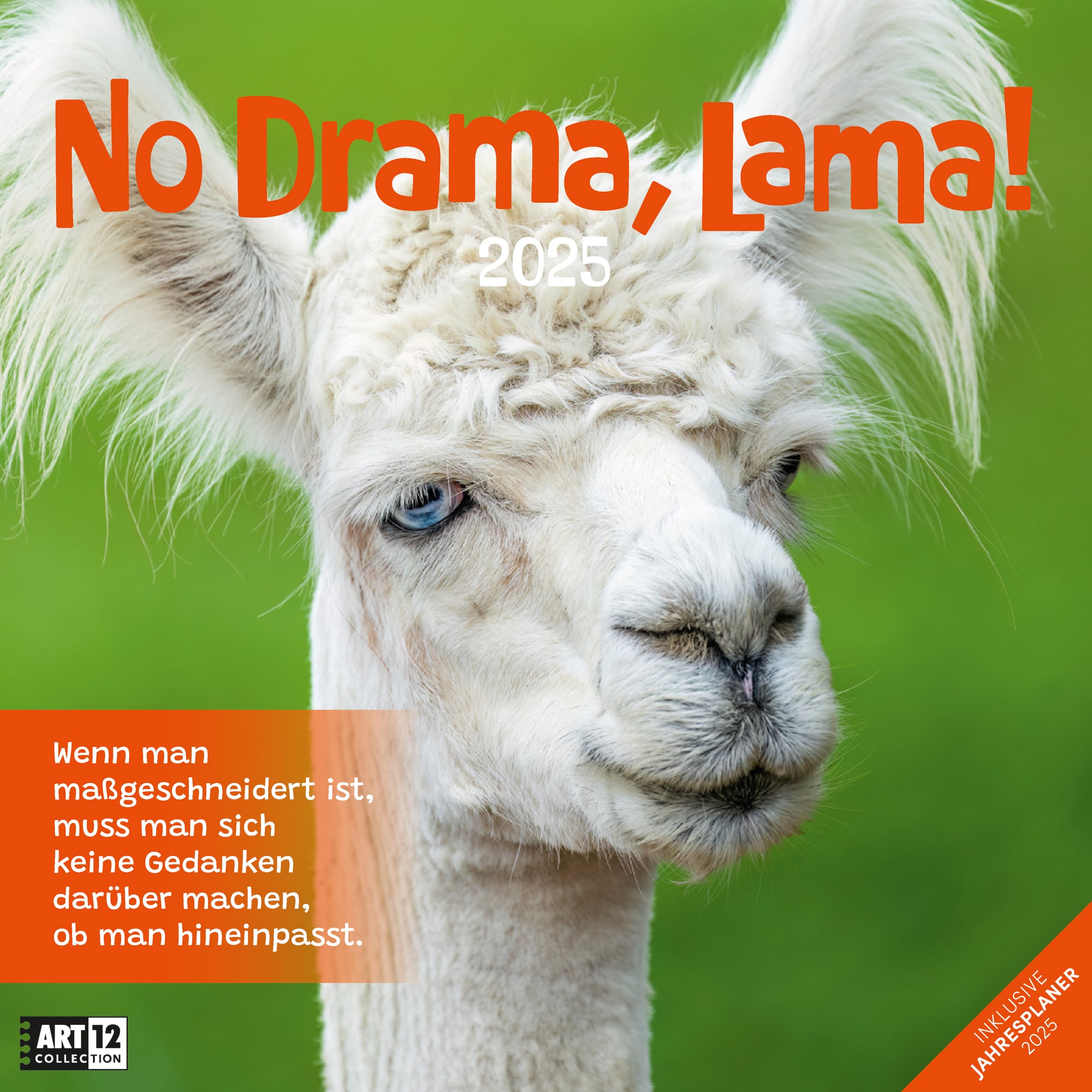 Art12 Collection Calendar No Drama, Llama! 30x30 2025 - Cover Page