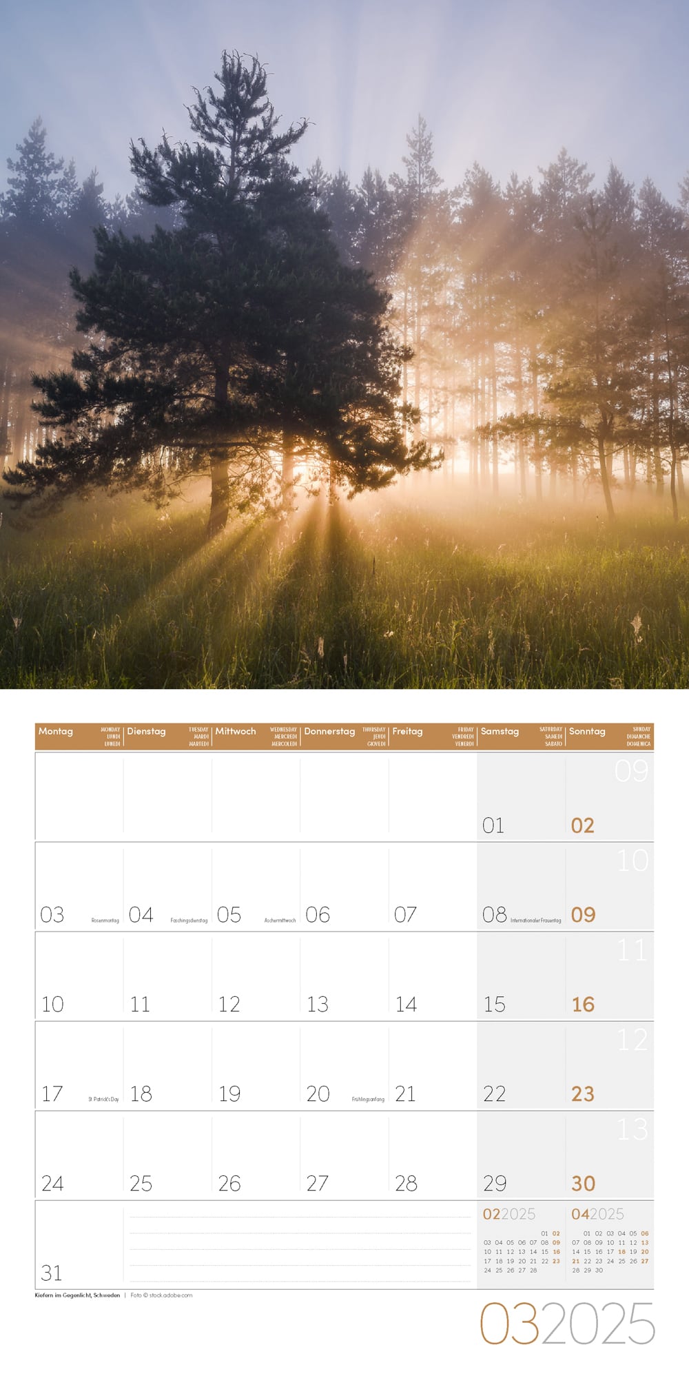 Art12 Collection Kalender Zauber des Waldes 2025 - 30x30 - Innenansicht 03