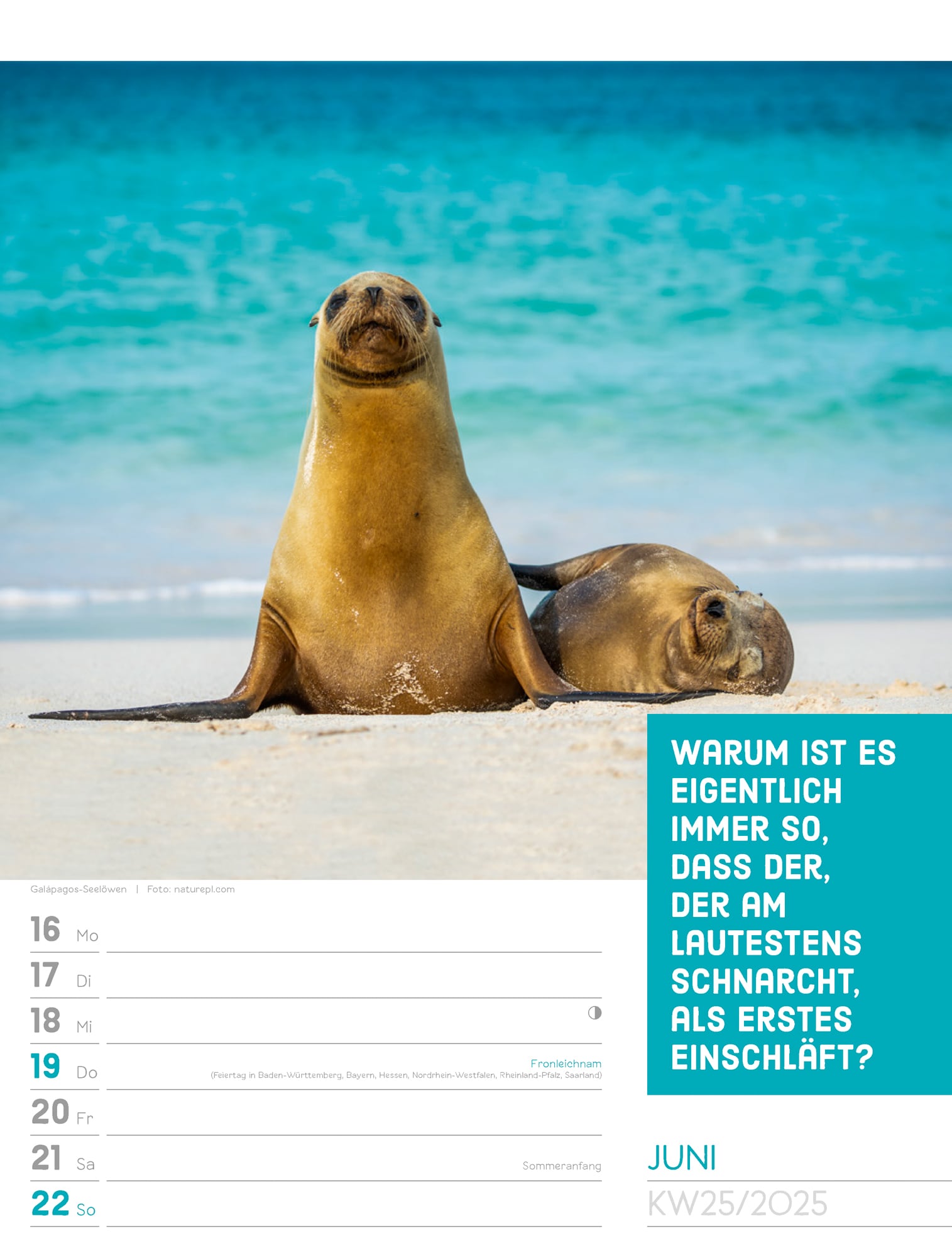 Ackermann Calendar Animals 2025 - Weekly Planner - Inside View 28