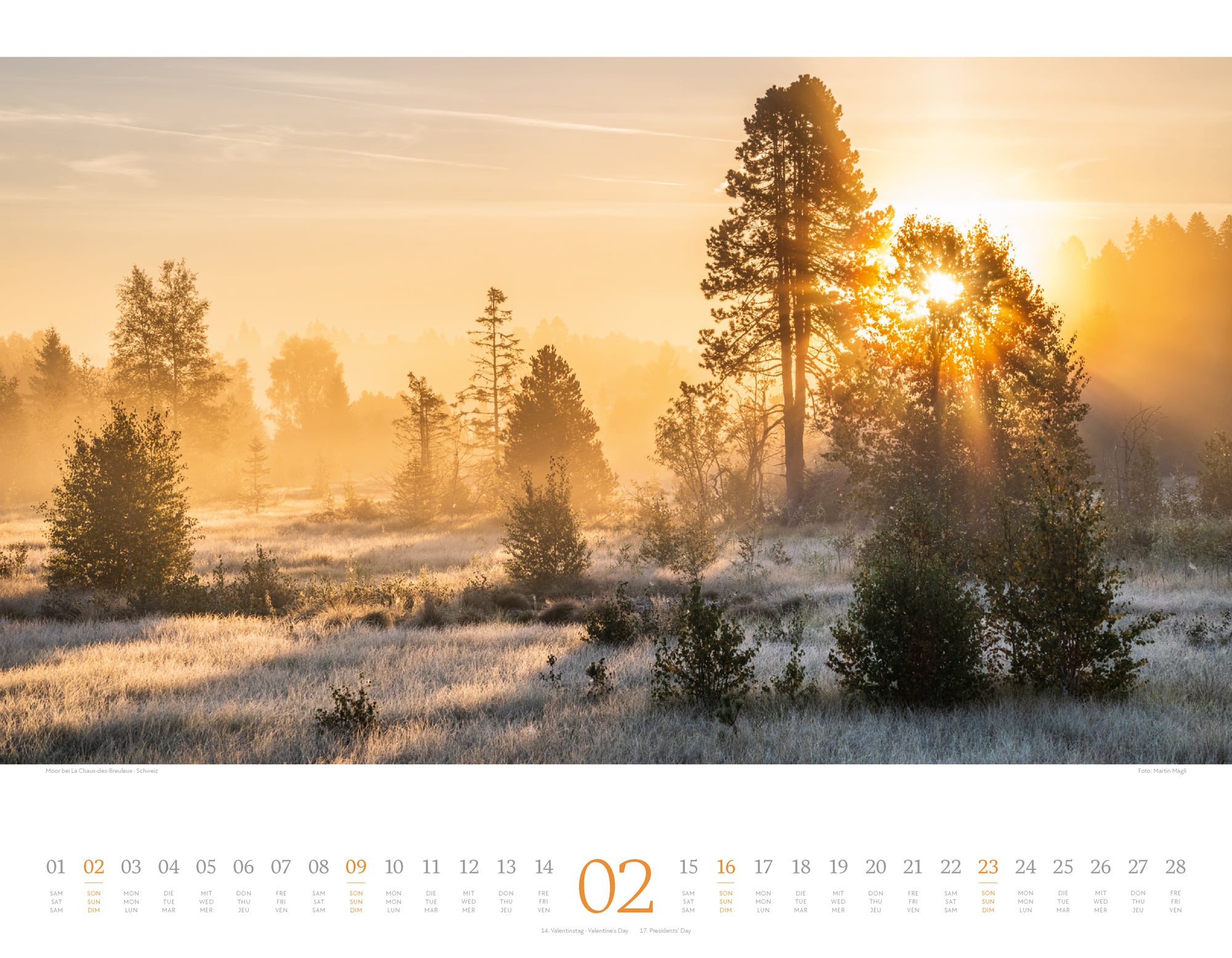 Ackermann Calendar Morning Light 2025 - Inside View 02