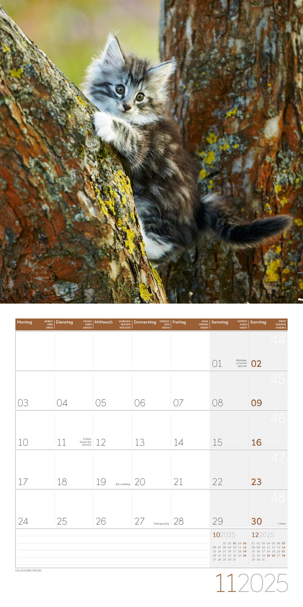 Art12 Collection Kalender Katzen 2025 - 30x30 - Innenansicht 11