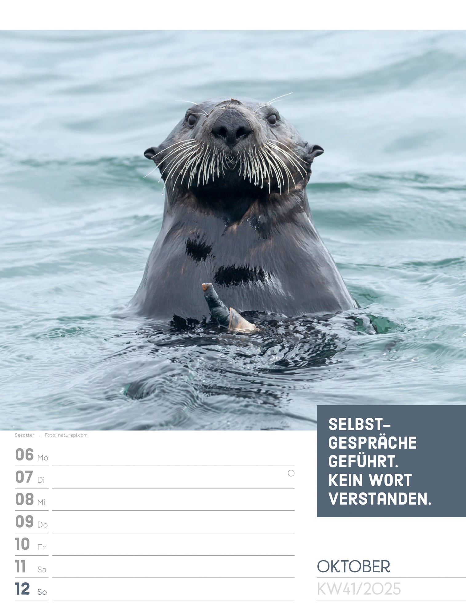 Ackermann Calendar Animals 2025 - Weekly Planner - Inside View 44