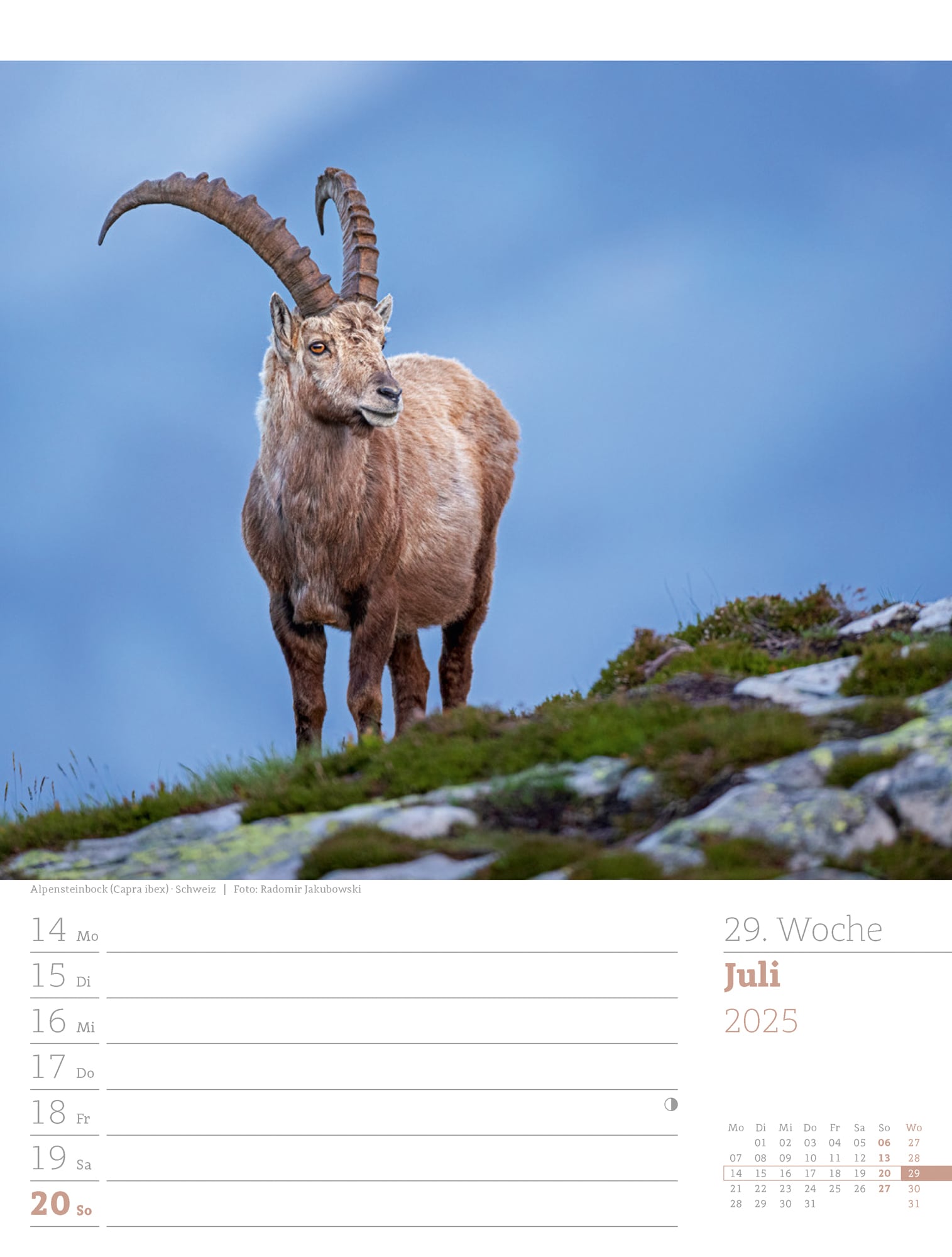 Ackermann Calendar Alps 2025 - Weekly Planner - Inside View 32
