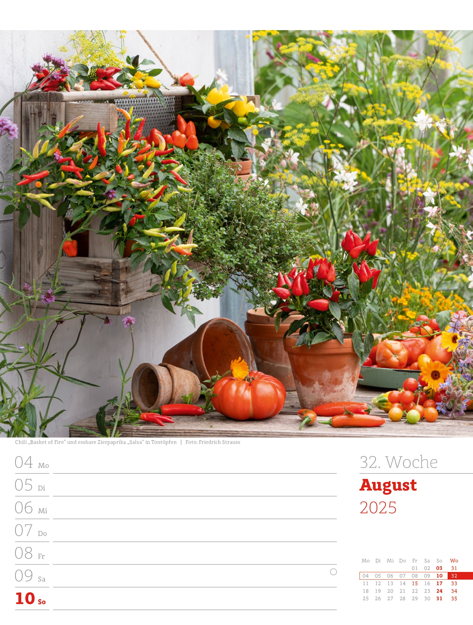 Ackermann Calendar Beautiful Gardens 2025 - Weekly Planner - Inside View 35