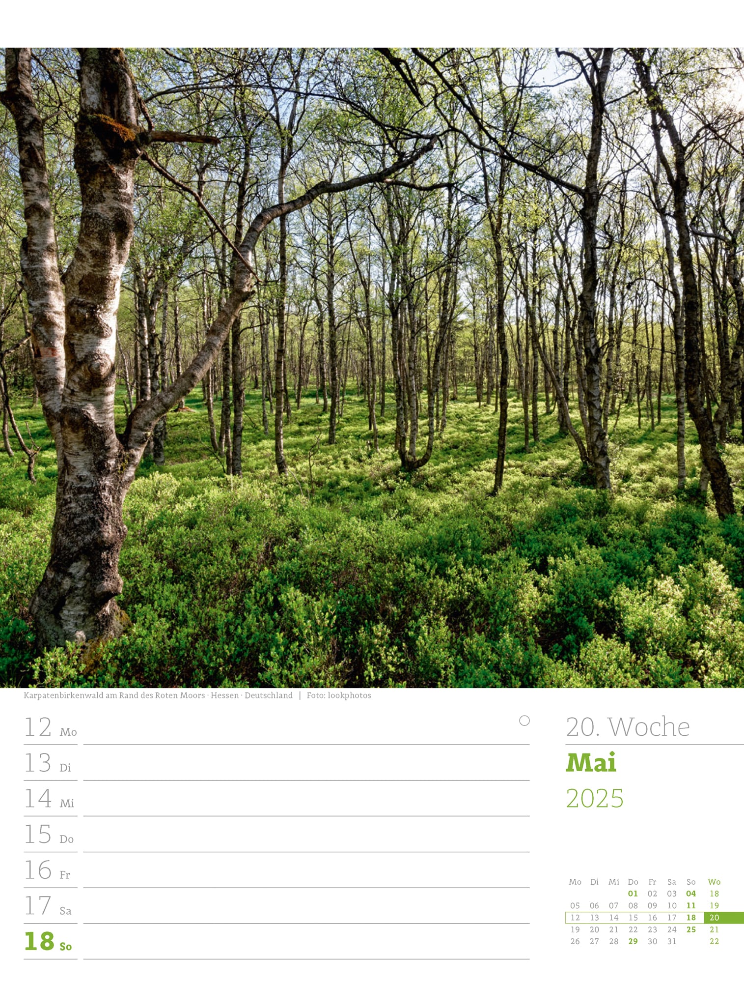 Ackermann Kalender Unser Wald - Wochenplaner 2025 - Innenansicht 23