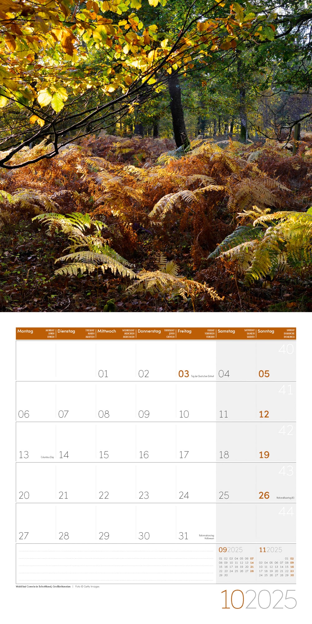 Art12 Collection Kalender Zauber des Waldes 2025 - 30x30 - Innenansicht 10