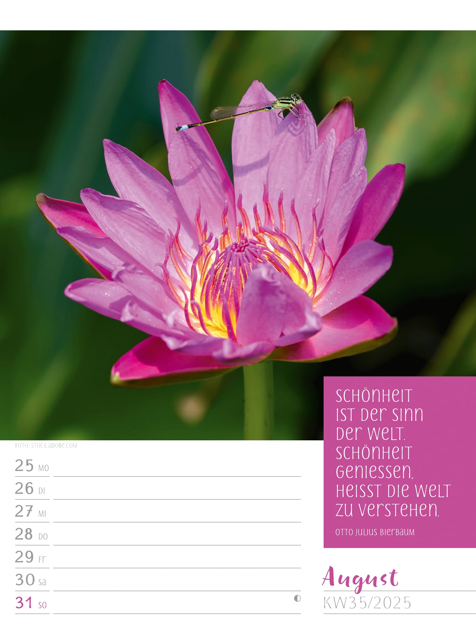 Ackermann Calendar Moments 2025 - Weekly Planner - Inside View 38