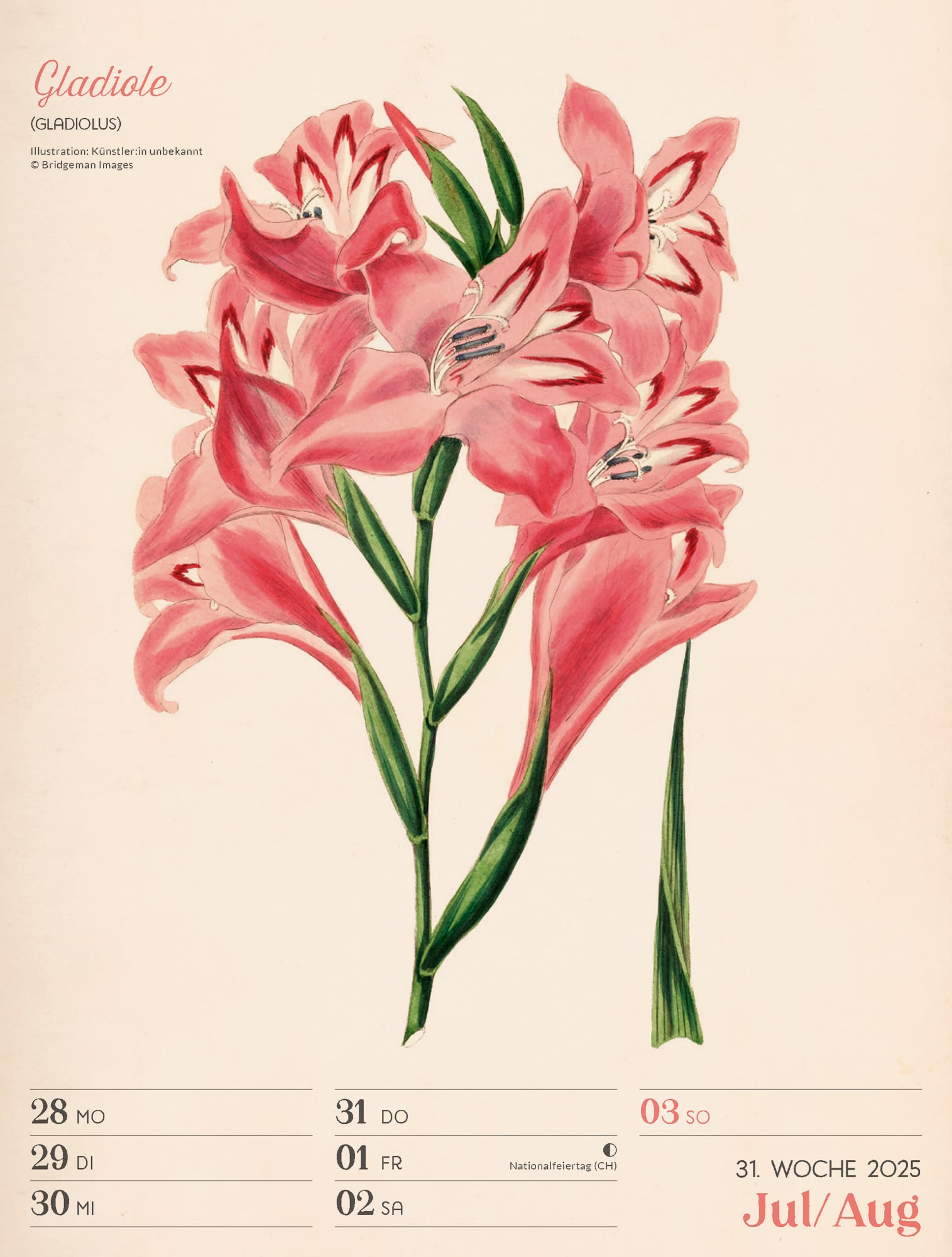 Ackermann Calendar Ars Floralis 2025 - Weekly Planner - Inside View 34