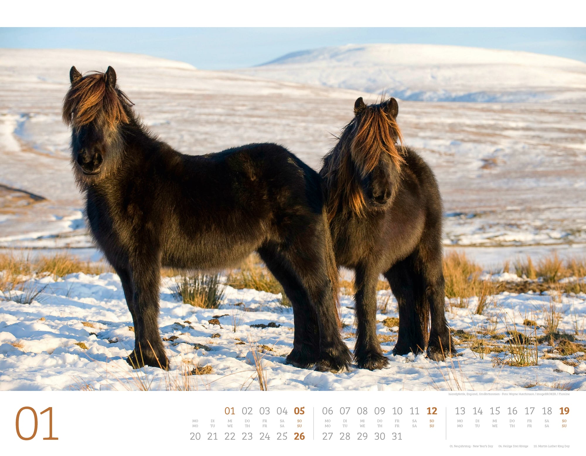 Ackermann Calendar Wild Horses 2025 - Inside View 01
