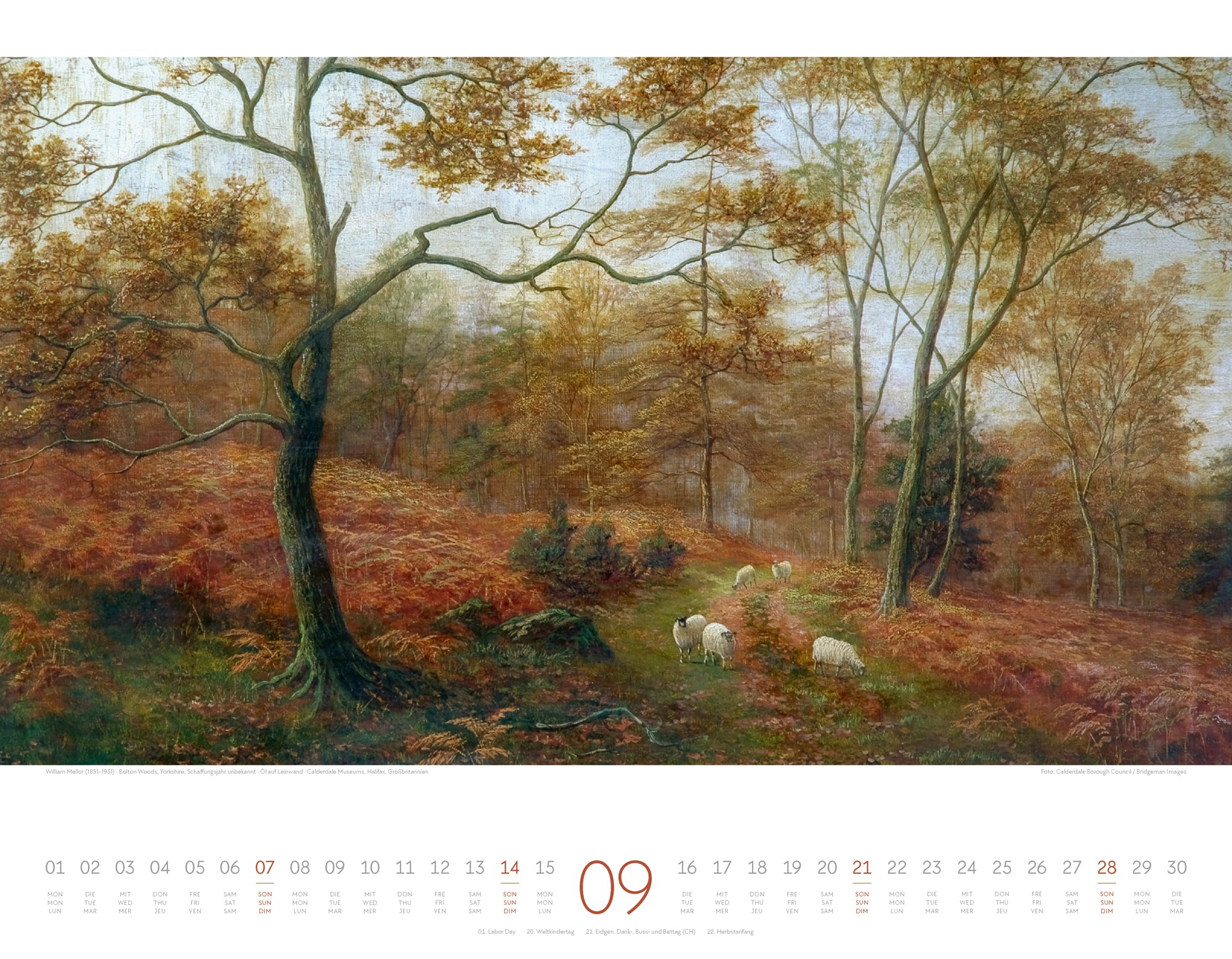Ackermann Calendar Artwork Forest 2025 - Inside View 09
