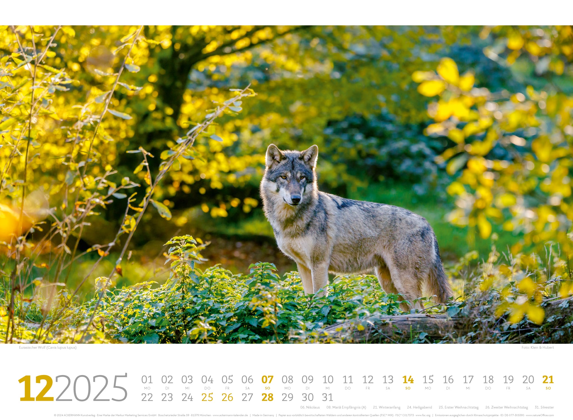 Ackermann Calendar Forest Animals 2025 - Inside View 12