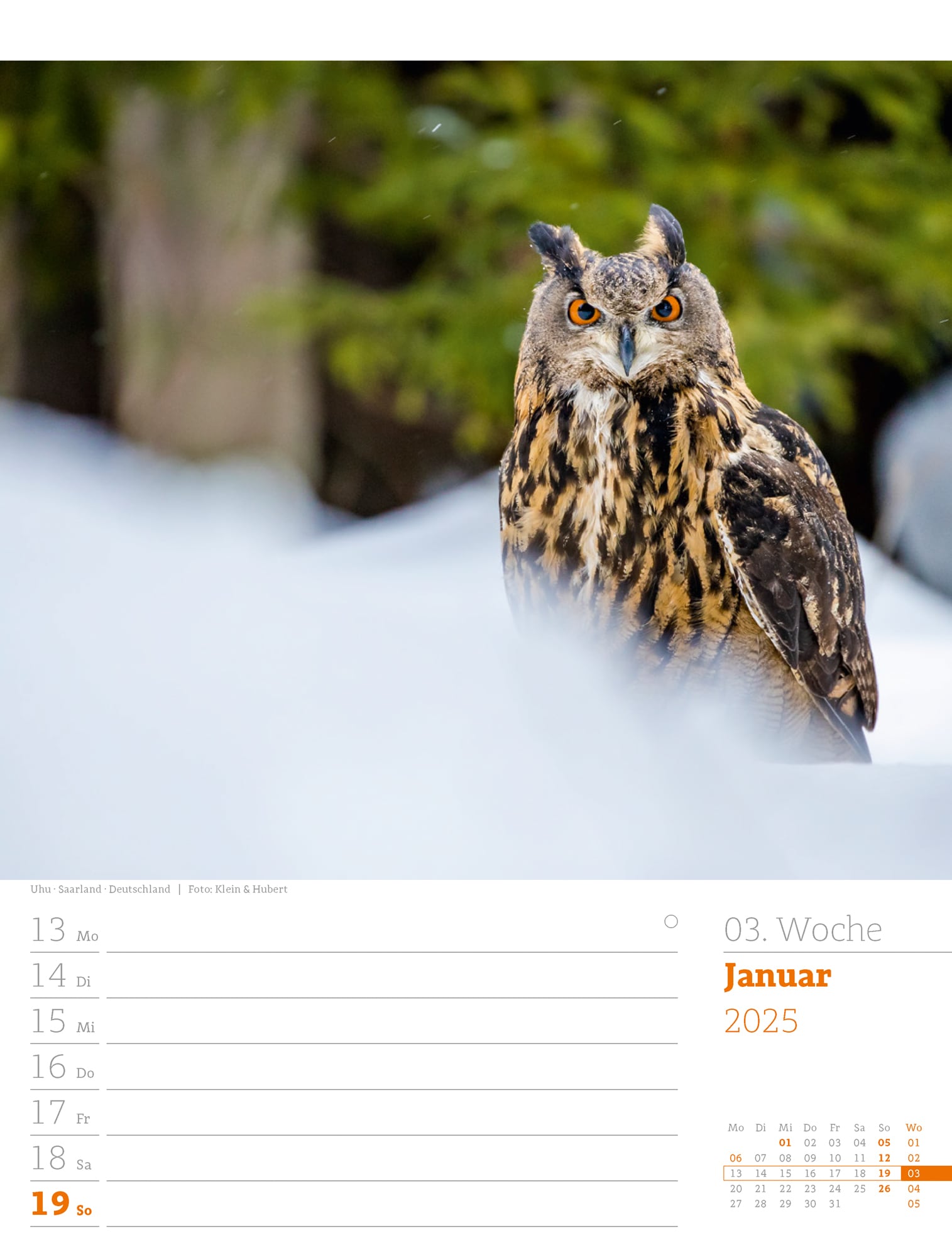 Ackermann Calendar Our Forest 2025 - Weekly Planner - Inside View 05