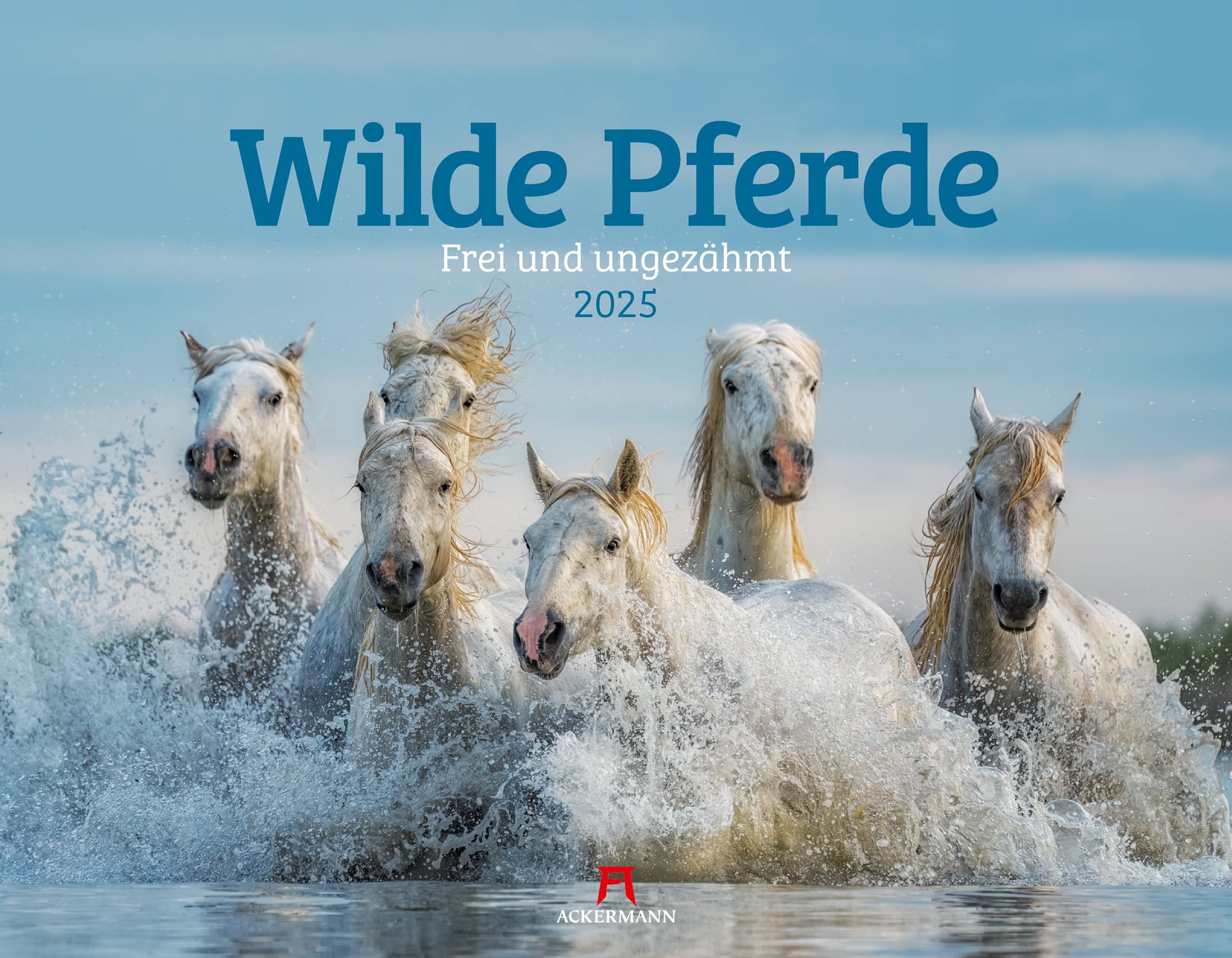 Ackermann Kalender Wilde Pferde 2025 - Titelblatt
