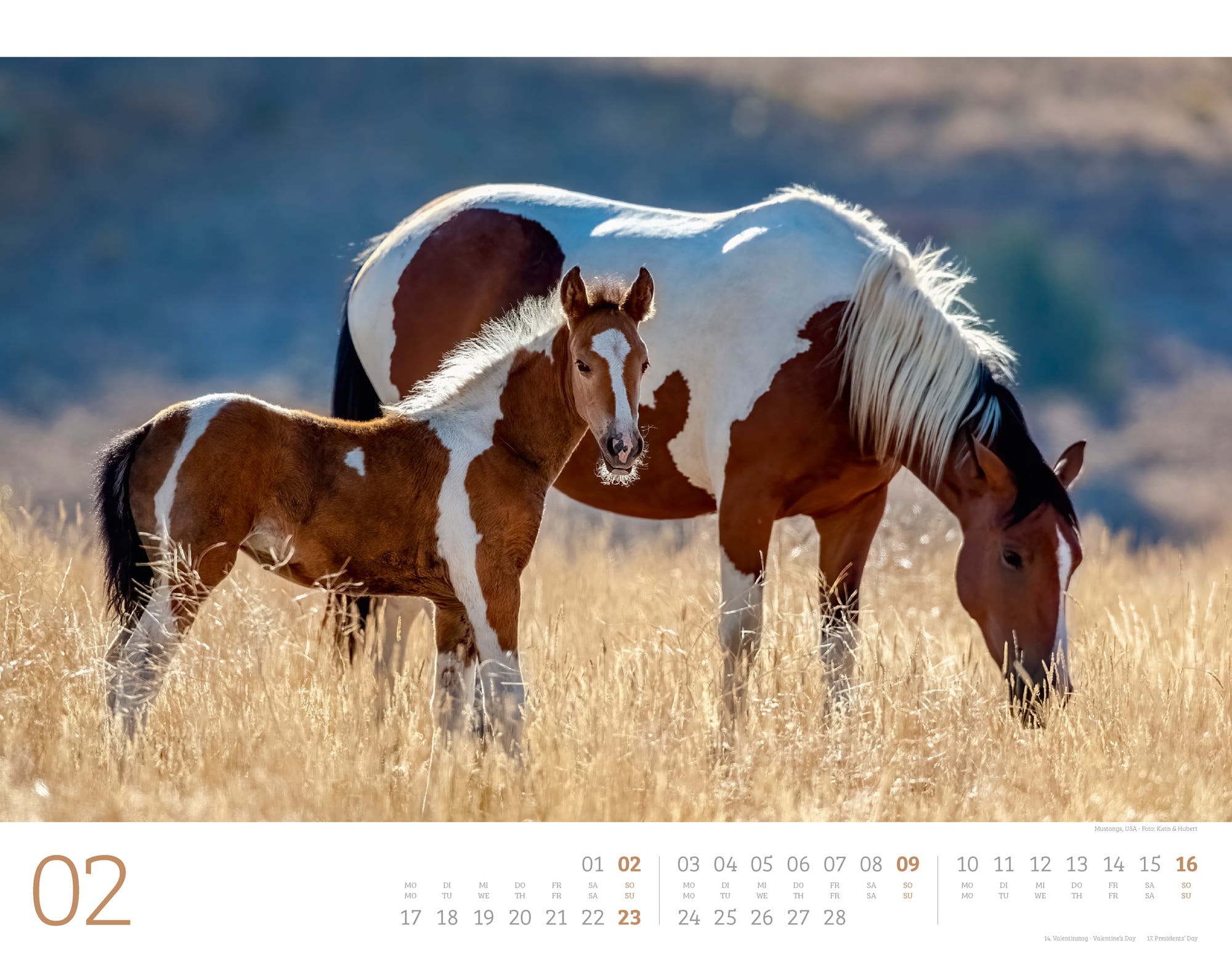 Ackermann Calendar Wild Horses 2025 - Inside View 02