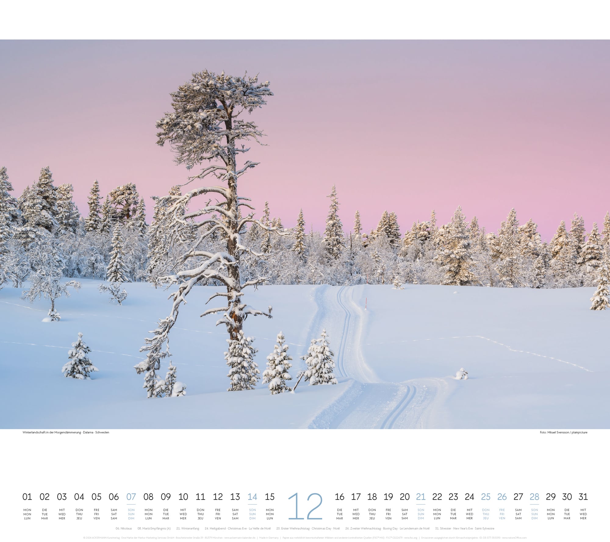 Ackermann Calendar Paths 2025 - Inside View 12