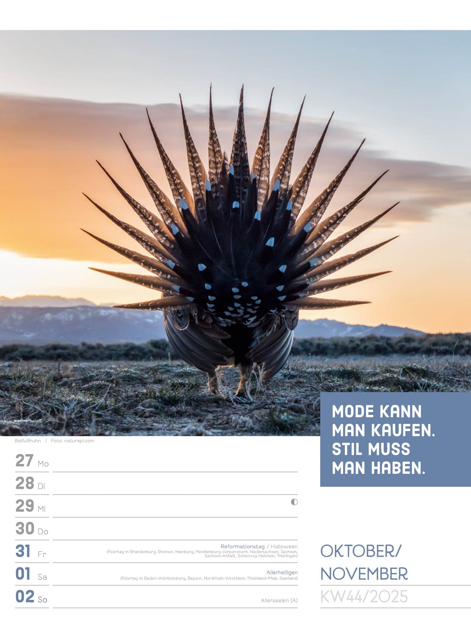 Ackermann Calendar Animals 2025 - Weekly Planner - Inside View 47