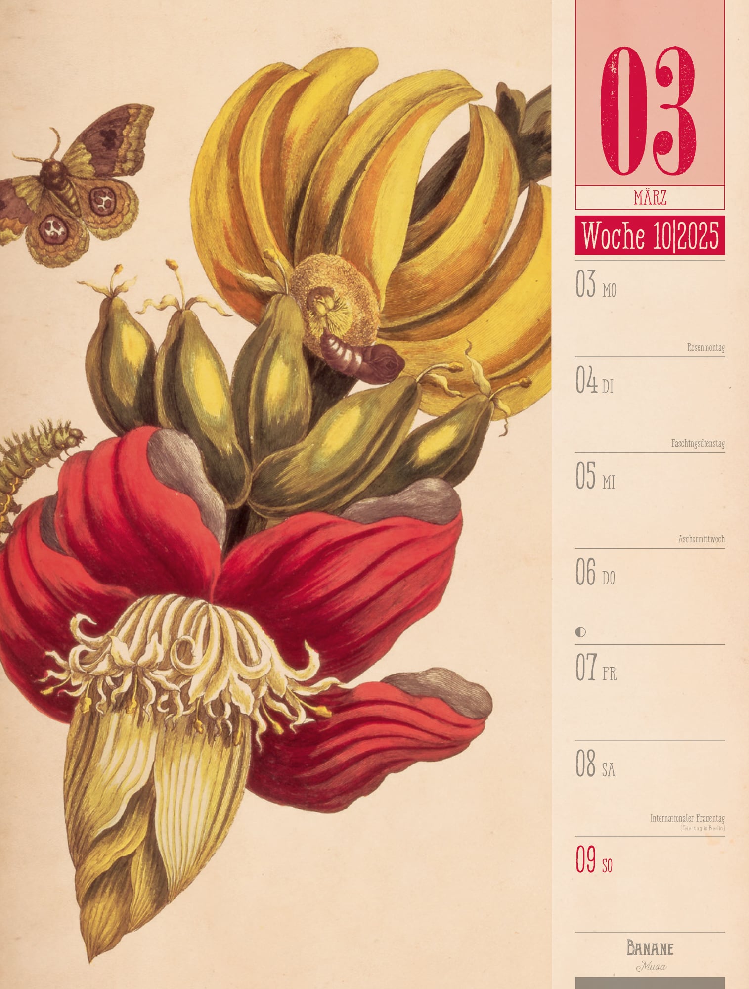 Ackermann Calendar Culinarium 2025 - Weekly Planner - Inside View 13