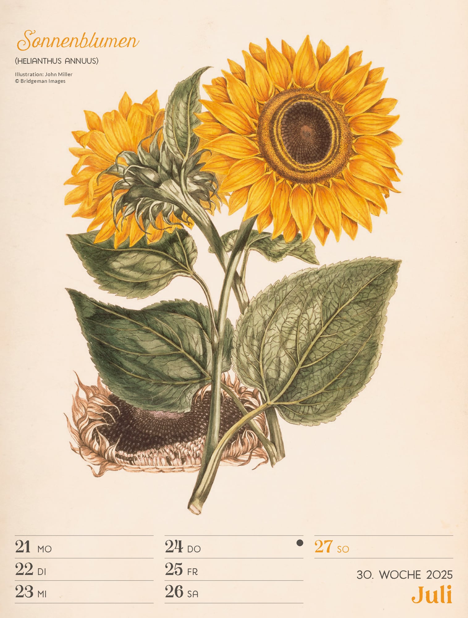 Ackermann Calendar Ars Floralis 2025 - Weekly Planner - Inside View 33