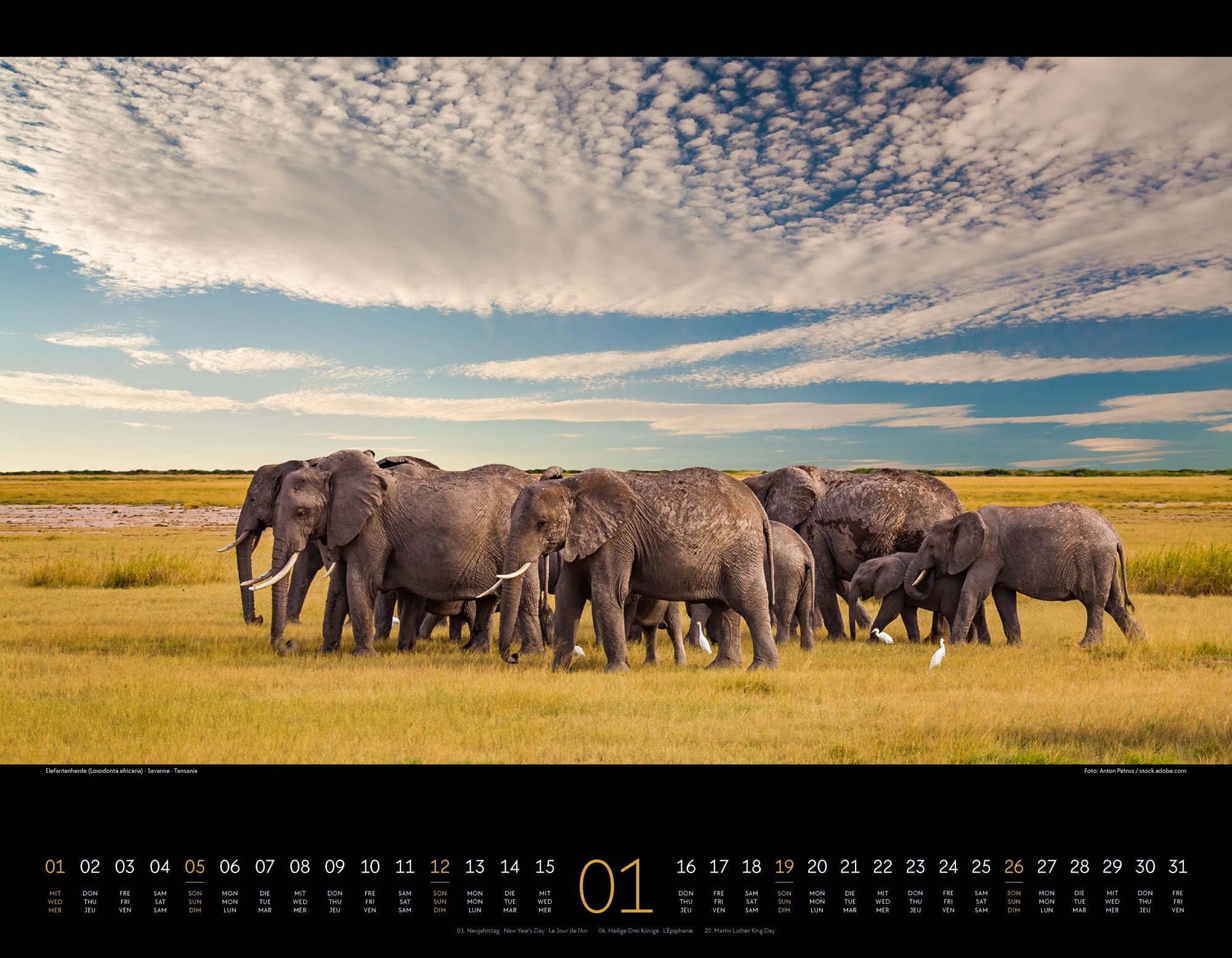 Ackermann Calendar Wild Africa 2025 - Inside View 01