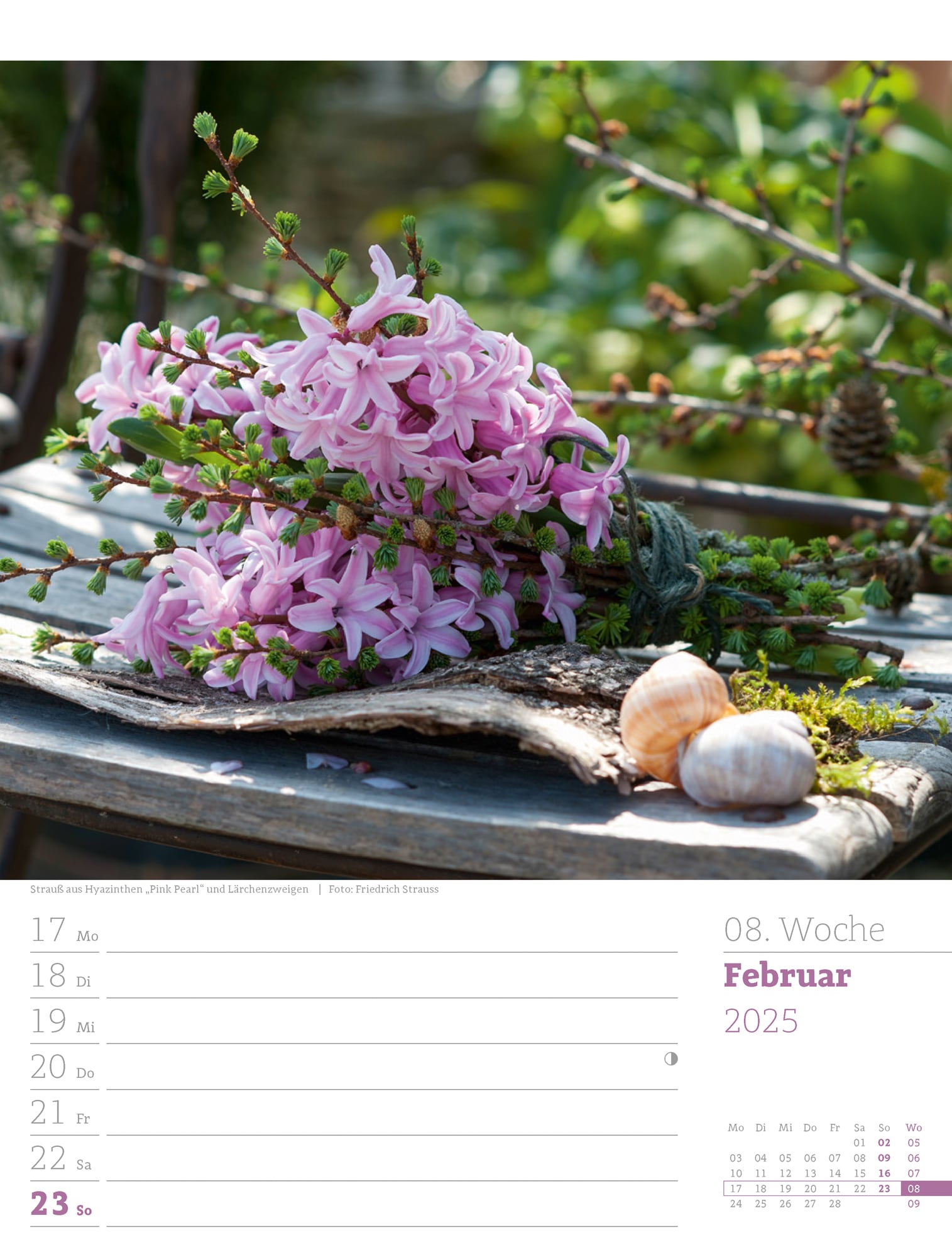 Ackermann Calendar Beautiful Gardens 2025 - Weekly Planner - Inside View 11