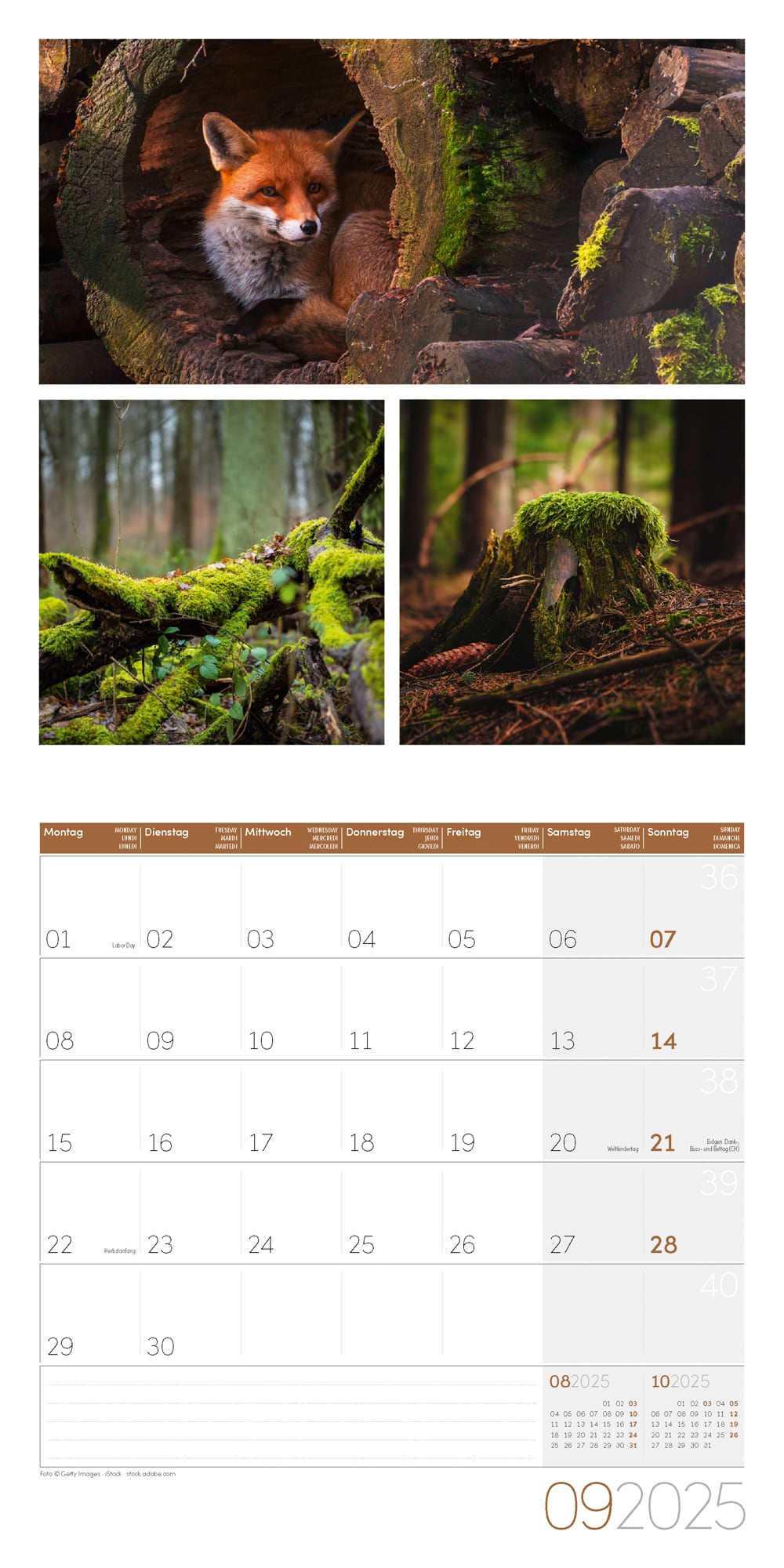 Art12 Collection Kalender Colours of Nature 2025 - 30x30 - Innenansicht 09