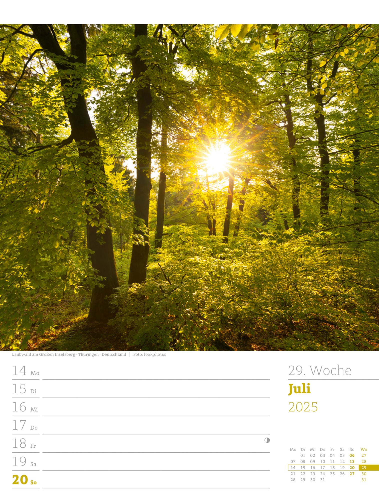 Ackermann Calendar Our Forest 2025 - Weekly Planner - Inside View 32