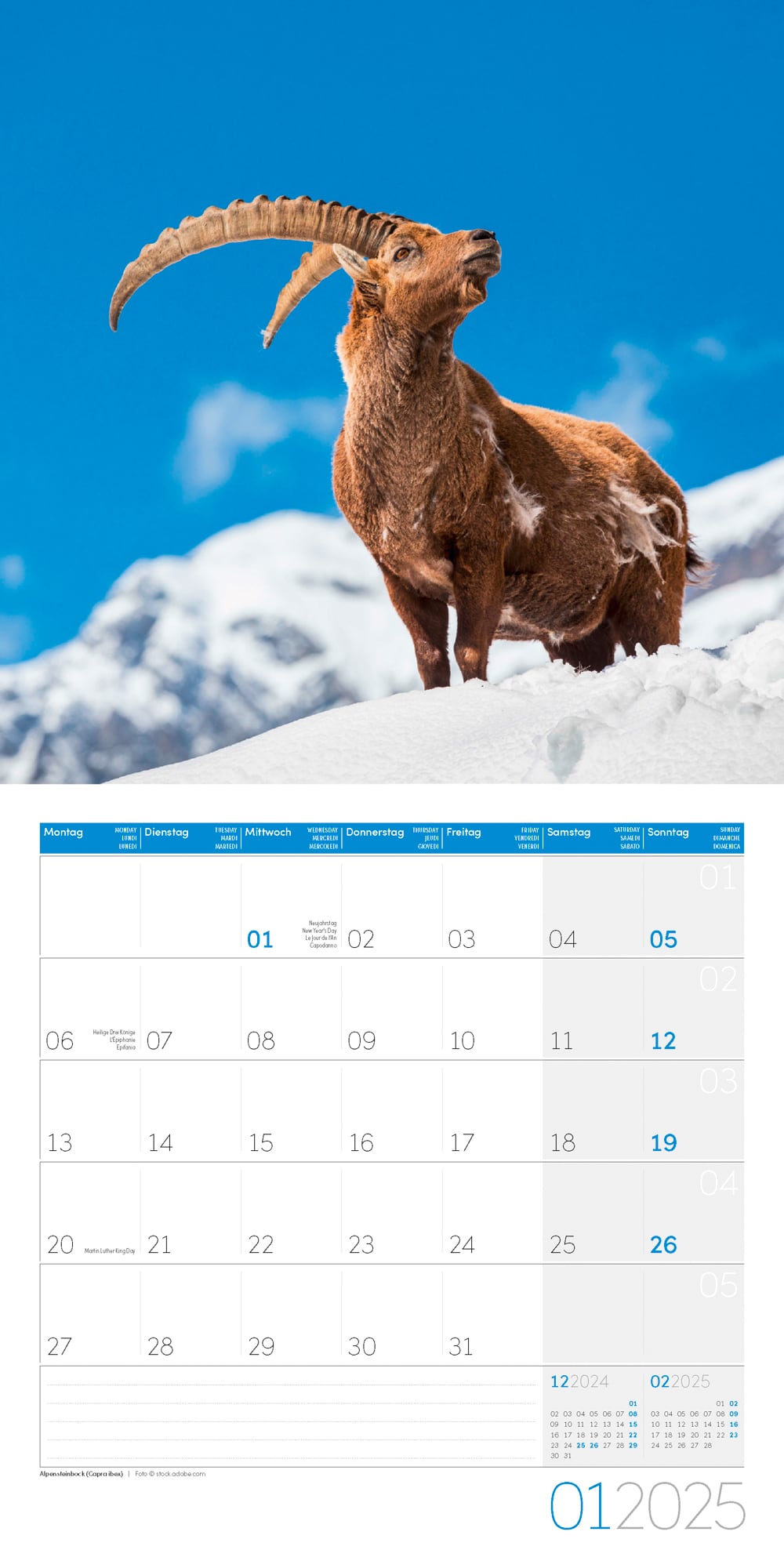 Art12 Collection Kalender Heimische Wildtiere 2025 - 30x30 - Innenansicht 01