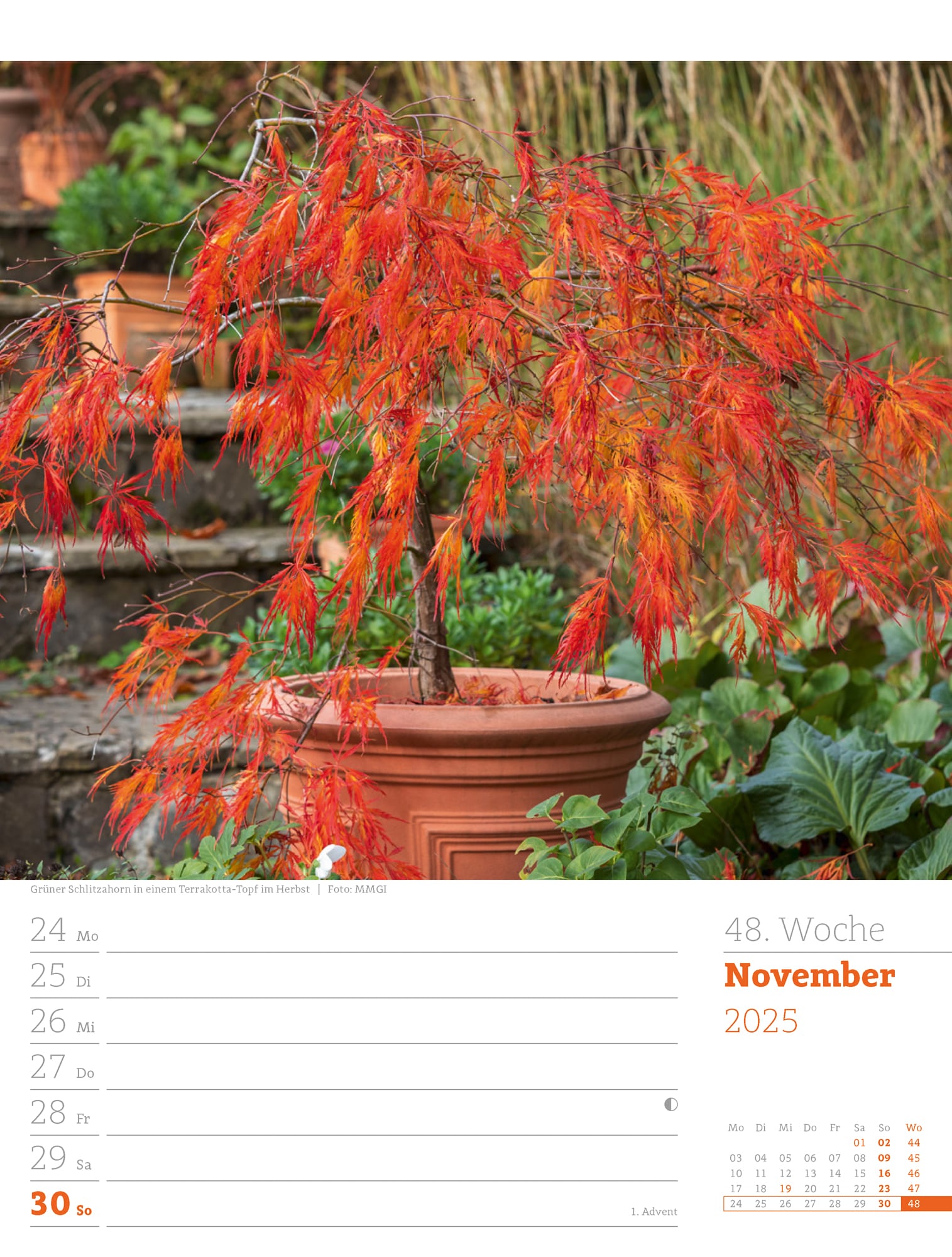 Ackermann Calendar Beautiful Gardens 2025 - Weekly Planner - Inside View 51