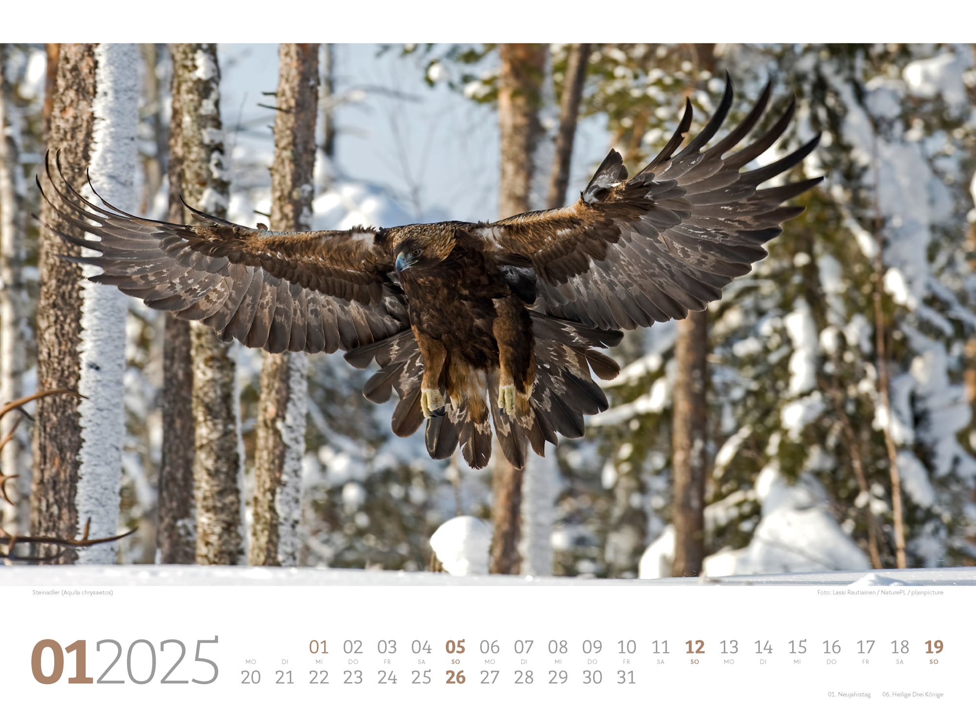 Ackermann Calendar Forest Animals 2025 - Inside View 01