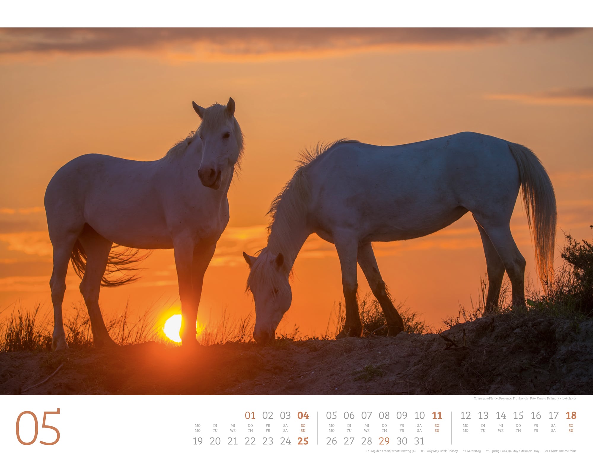 Ackermann Calendar Wild Horses 2025 - Inside View 05