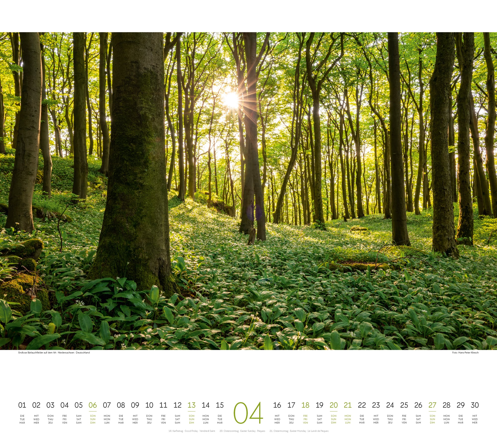Ackermann Kalender Wald 2025 - Innenansicht 04