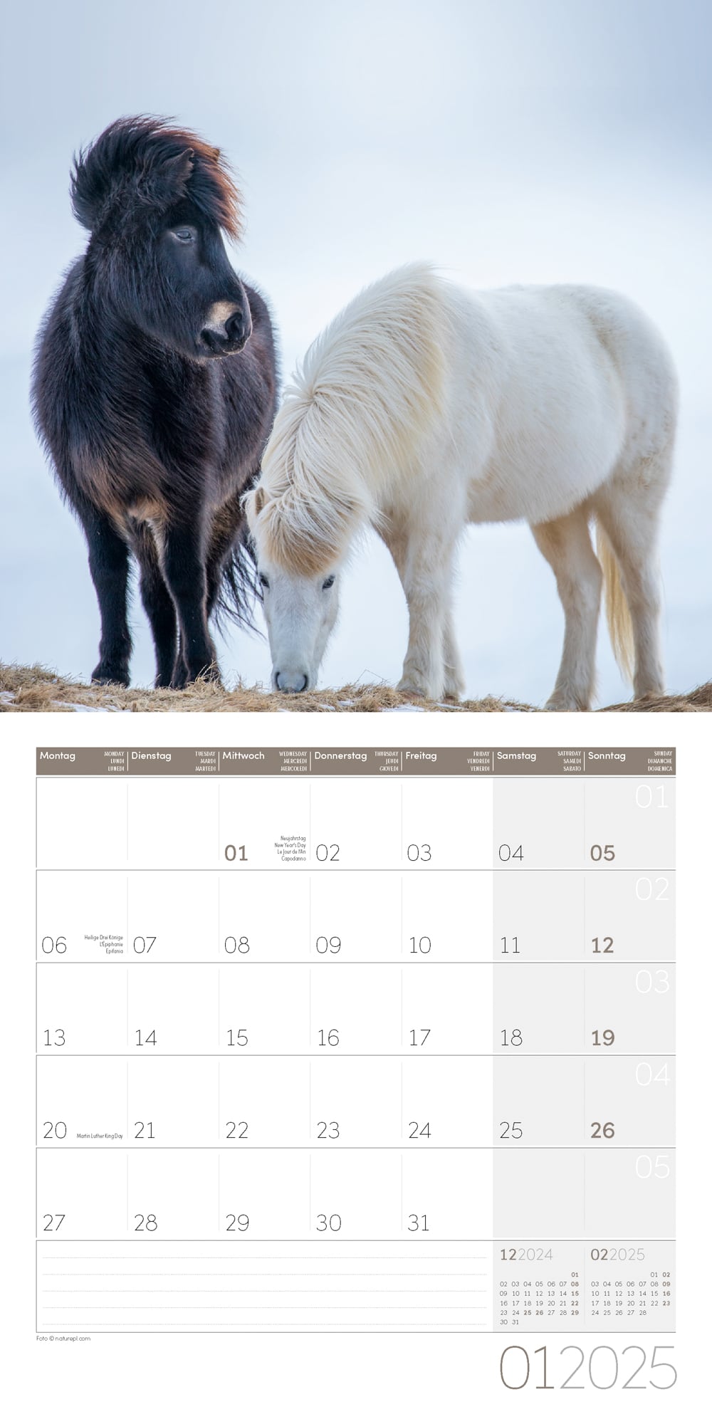 Art12 Collection Kalender Pferde 2025 - 30x30 - Innenansicht 01