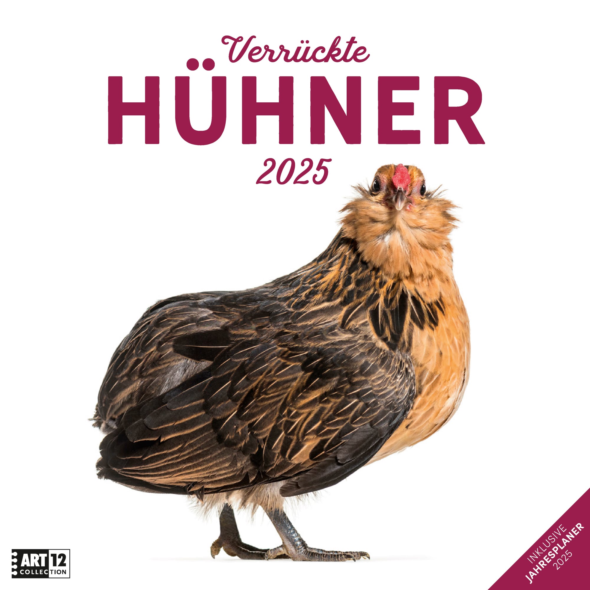 Art12 Collection Kalender Verrückte Hühner 2025 - 30x30 - Titelblatt