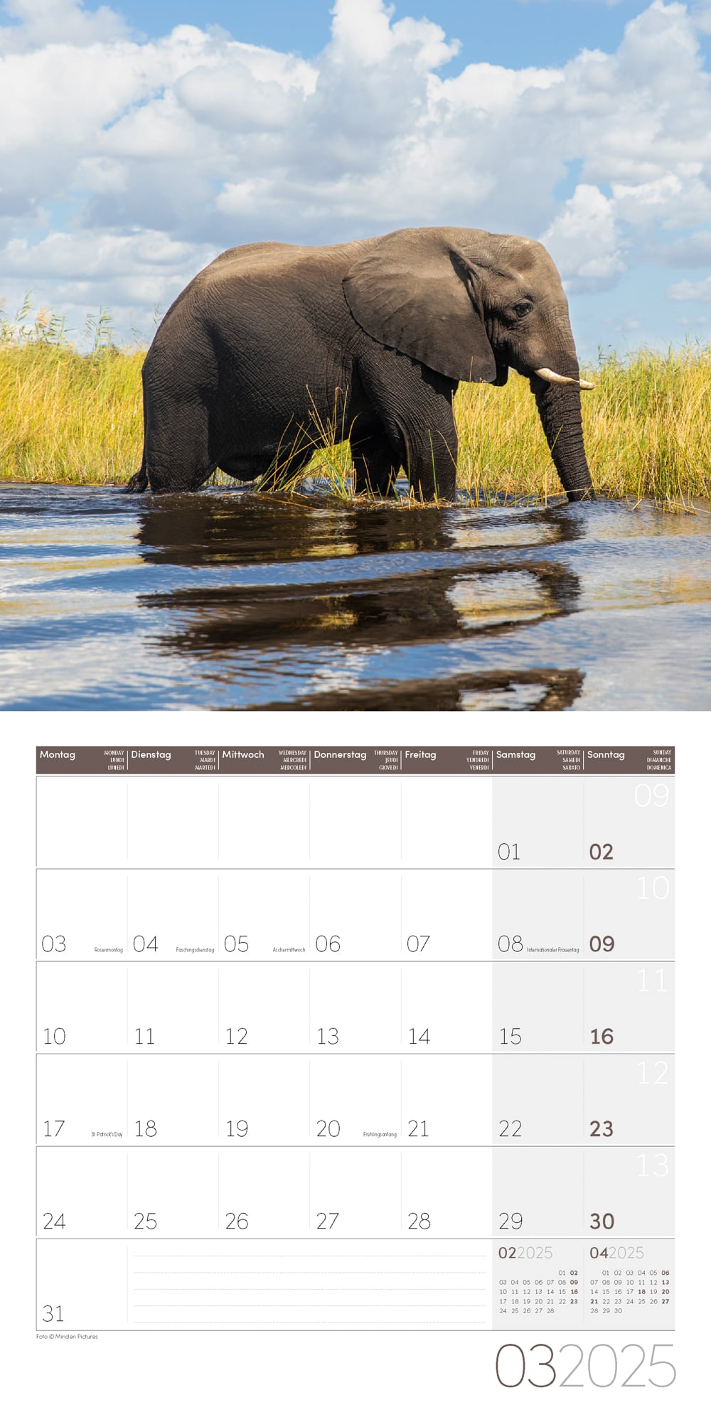 Art12 Collection Kalender Elefanten 2025 - 30x30 - Innenansicht 03