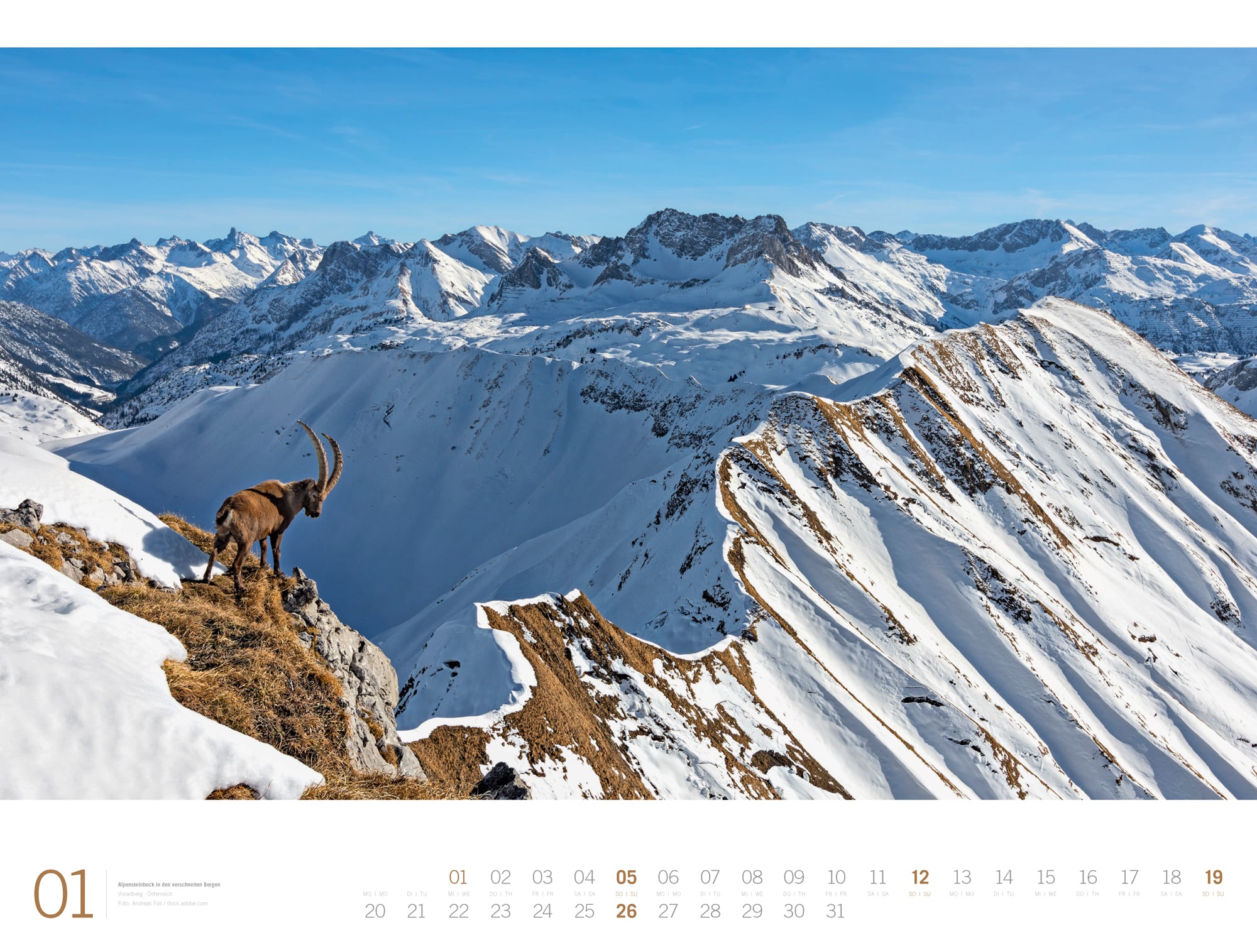 Ackermann Calendar Alps - Gallery 2025 - Inside View 01