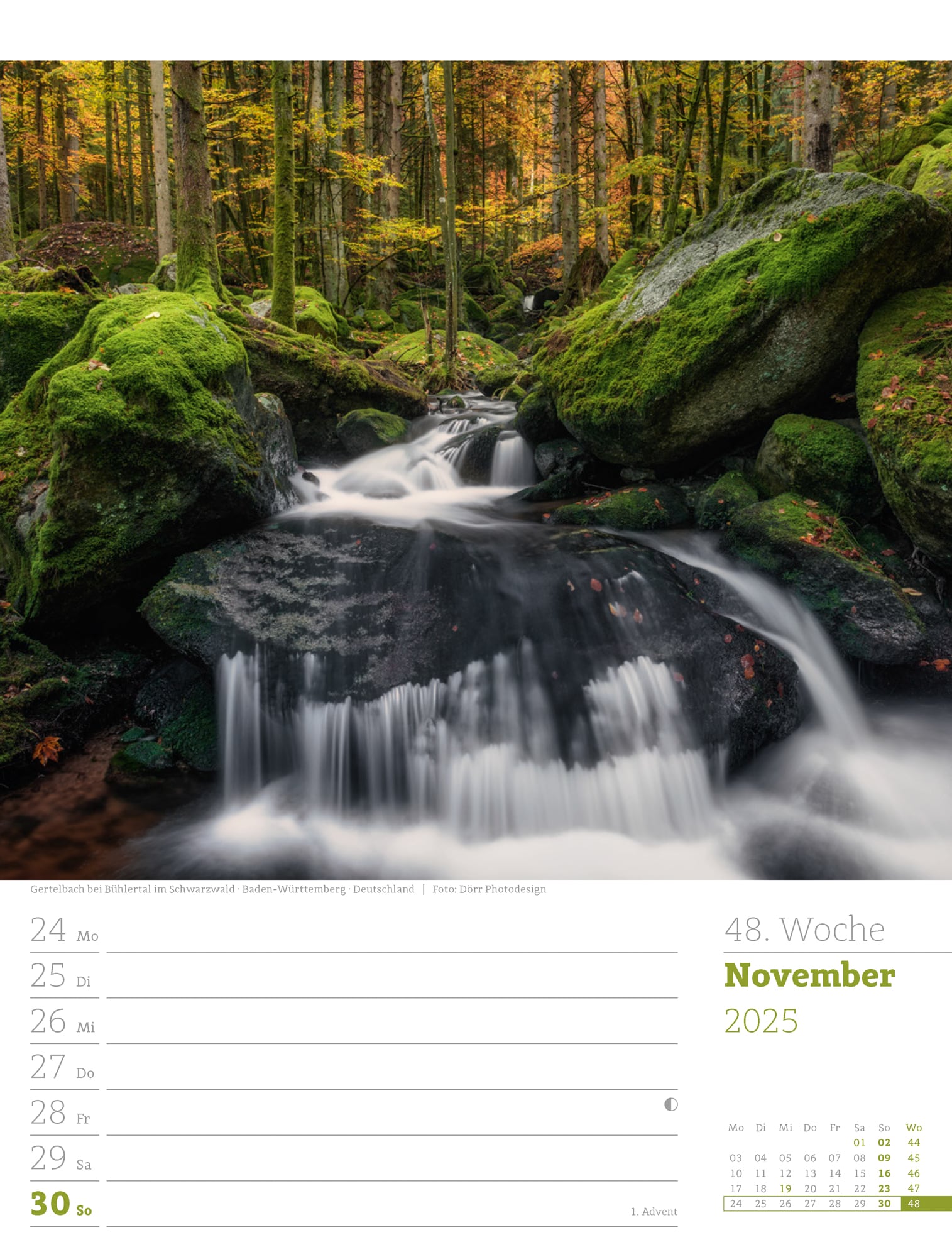Ackermann Calendar Our Forest 2025 - Weekly Planner - Inside View 51