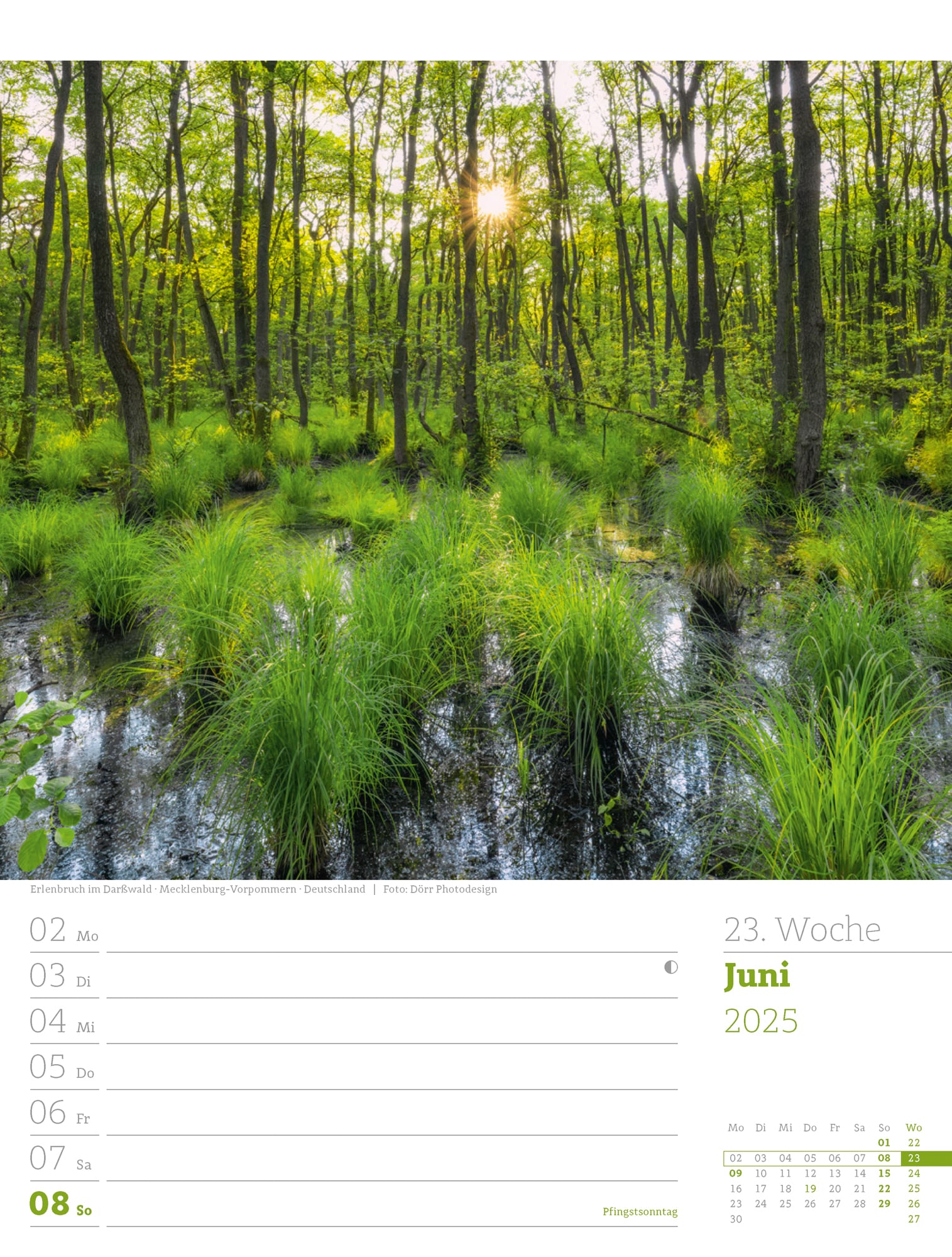 Ackermann Calendar Our Forest 2025 - Weekly Planner - Inside View 26