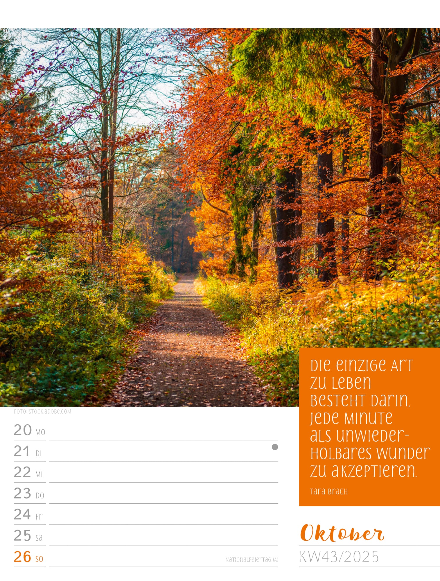 Ackermann Calendar Moments 2025 - Weekly Planner - Inside View 46